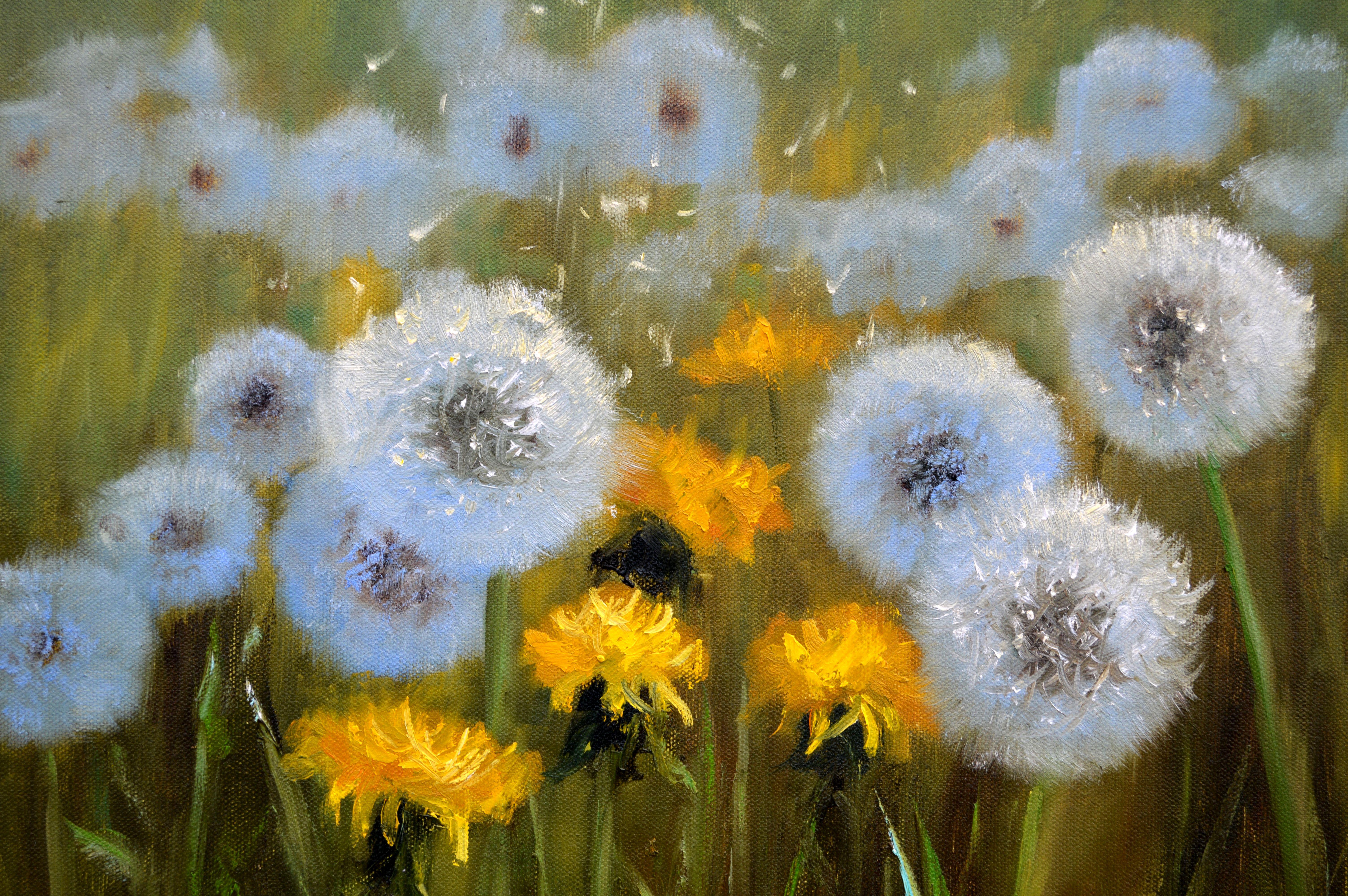 Delicate dandelions 30X40 For Sale 13