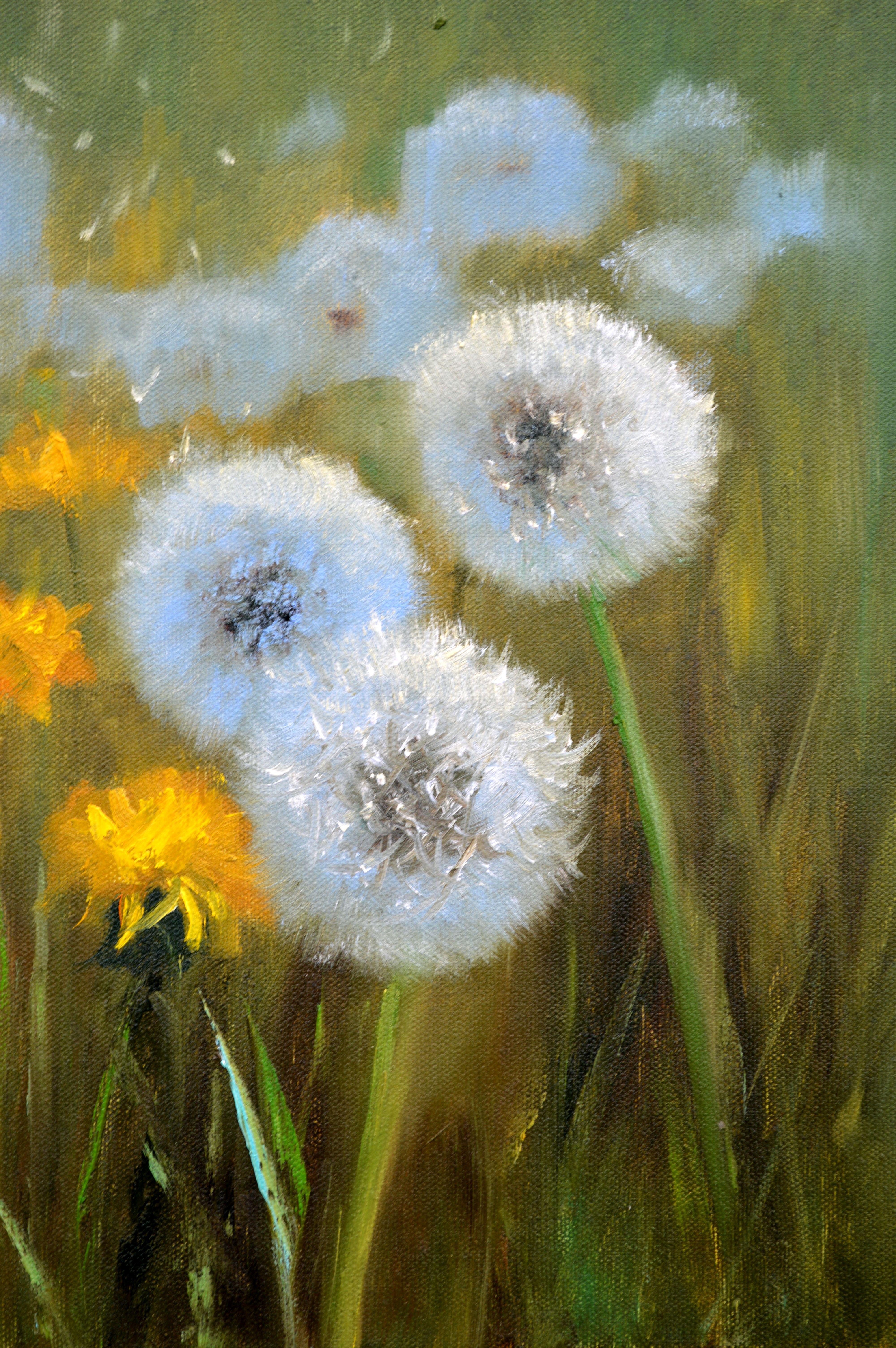 Delicate dandelions 30X40 For Sale 14