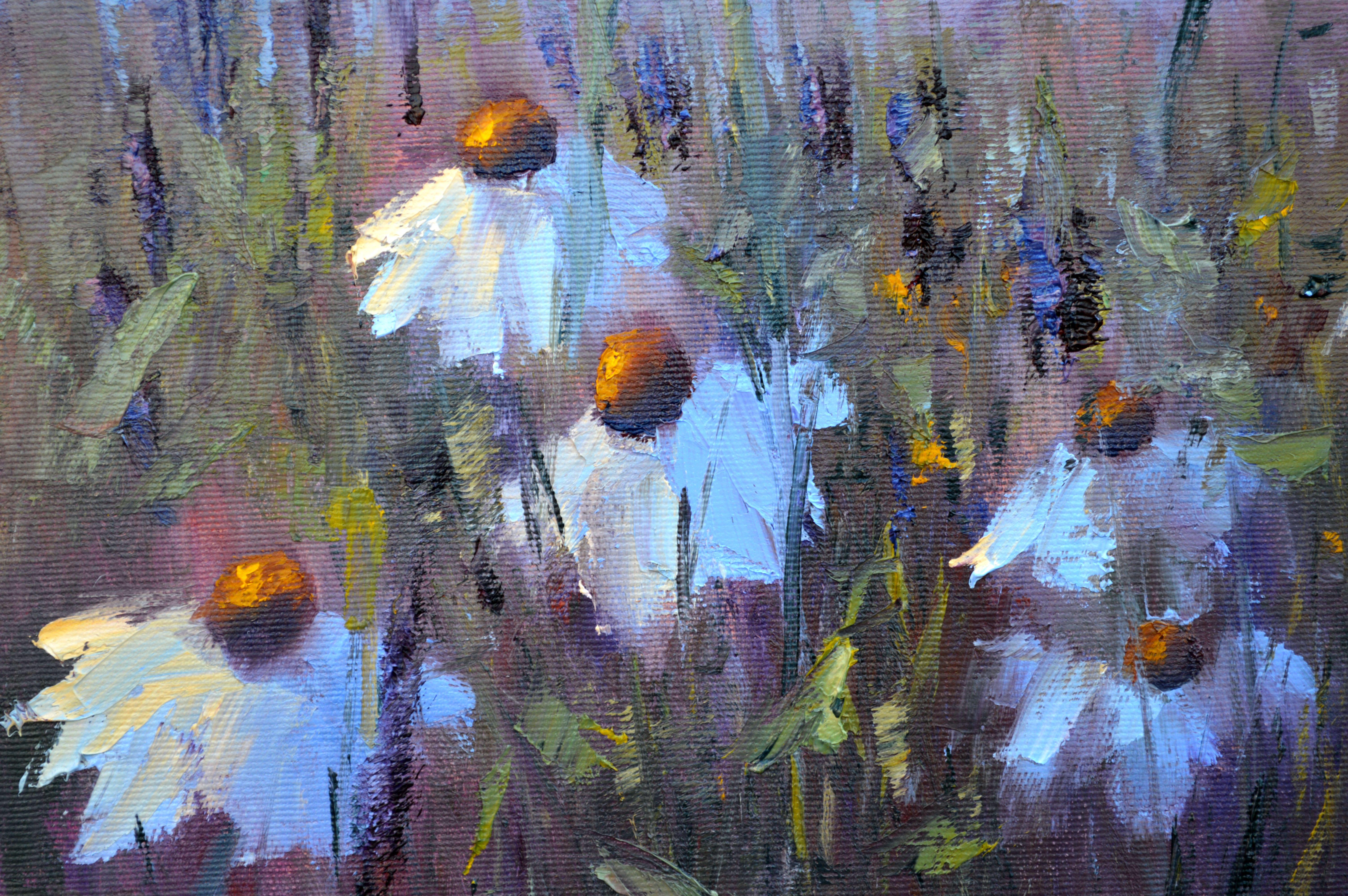 Field Daisies For Sale 5