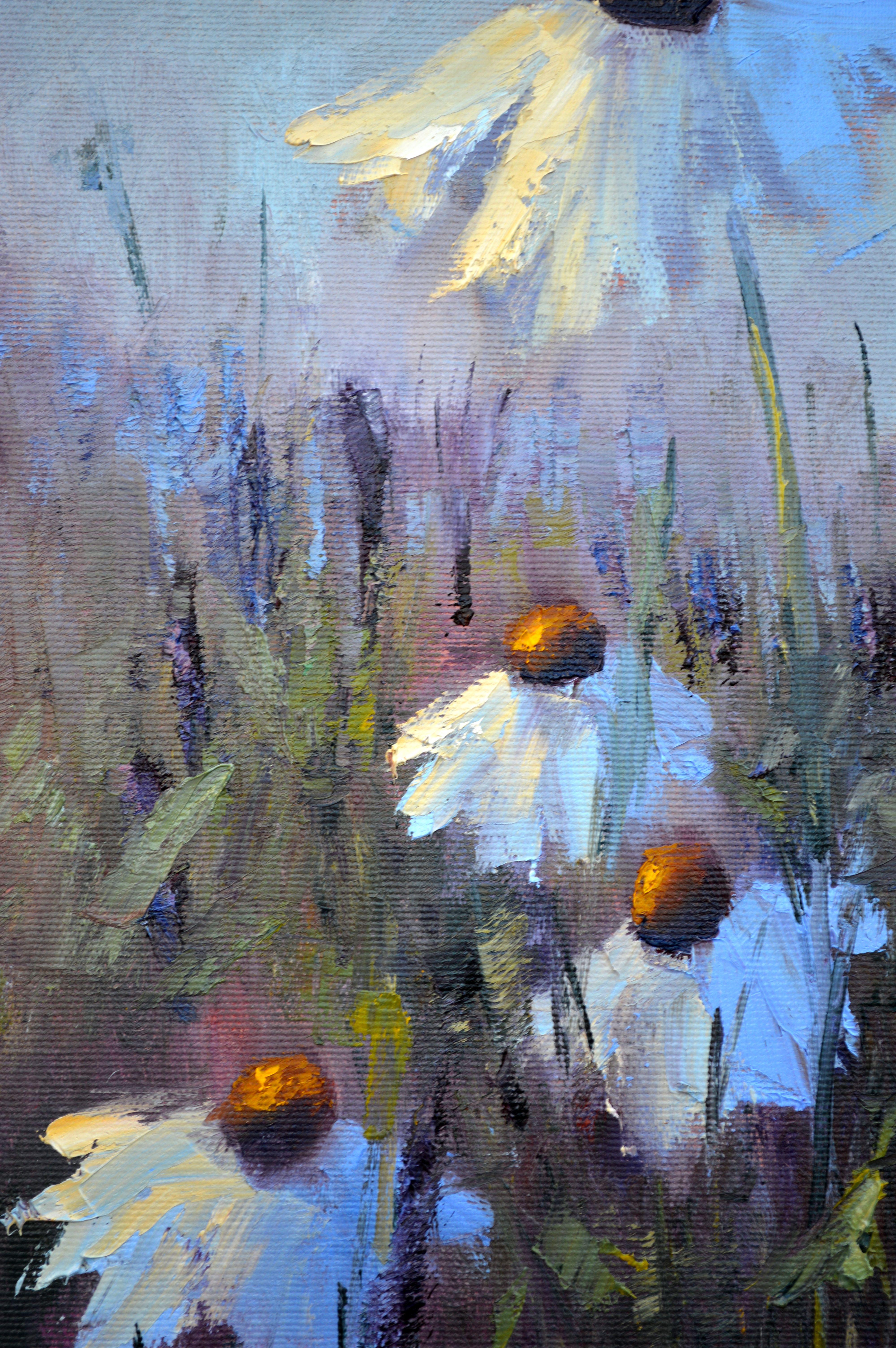 Field Daisies For Sale 7