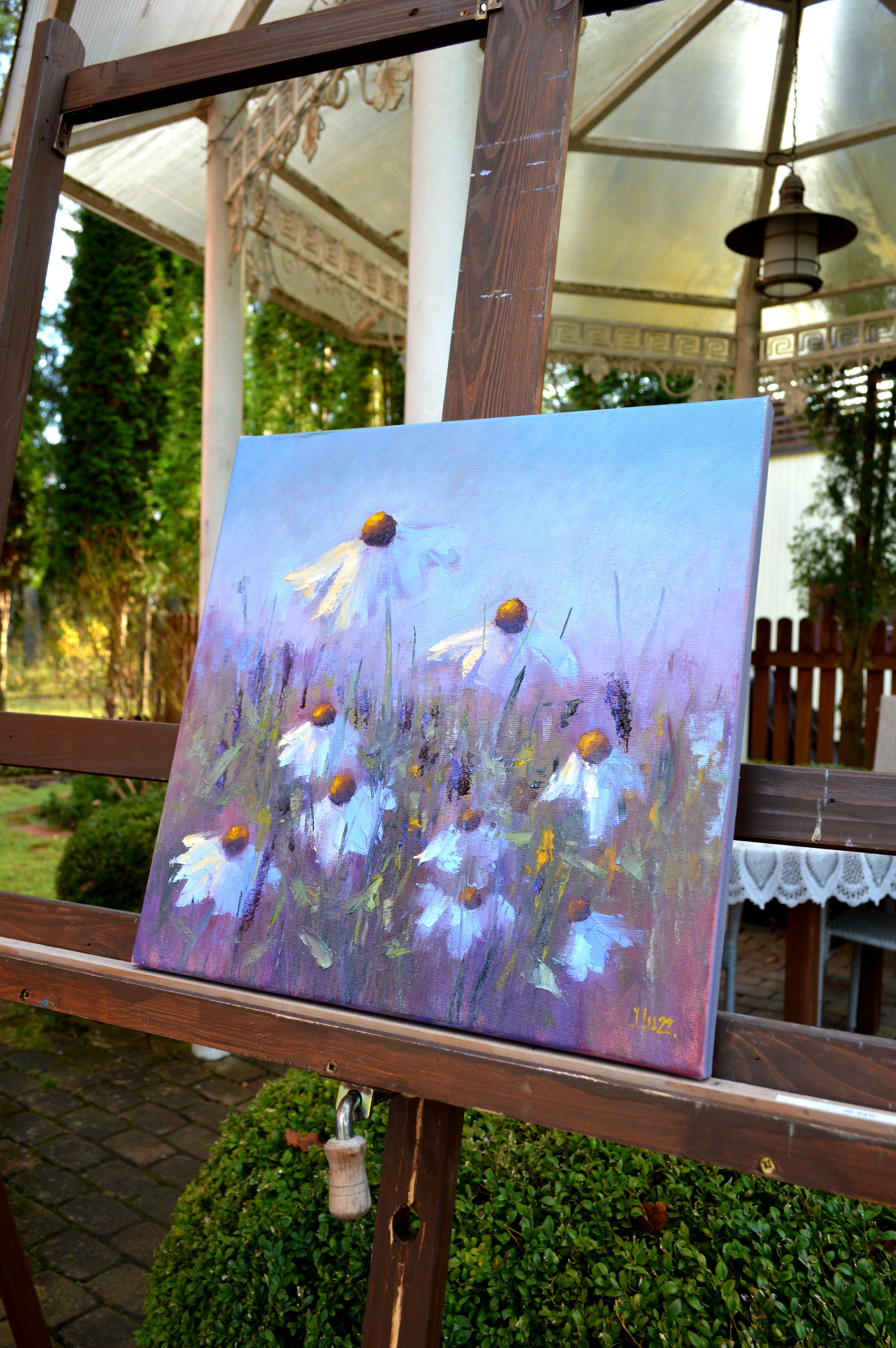 Field Daisies For Sale 11