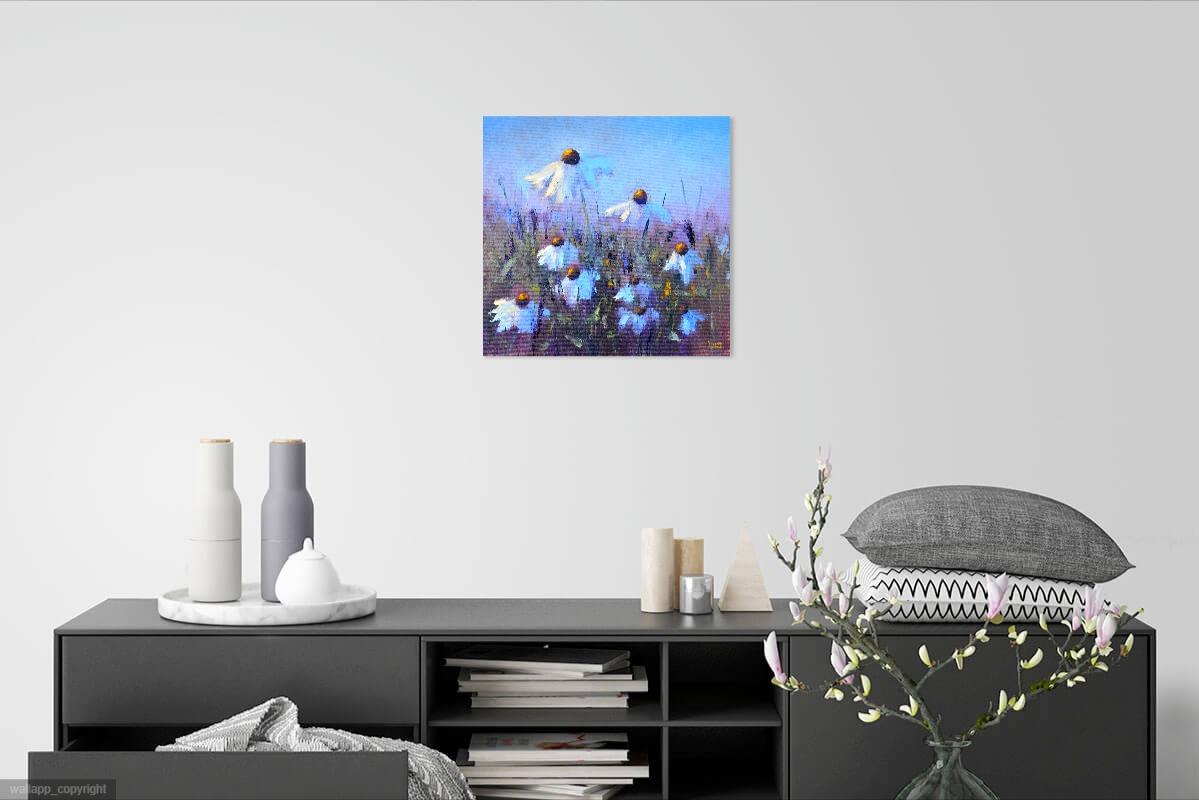 Field Daisies For Sale 14