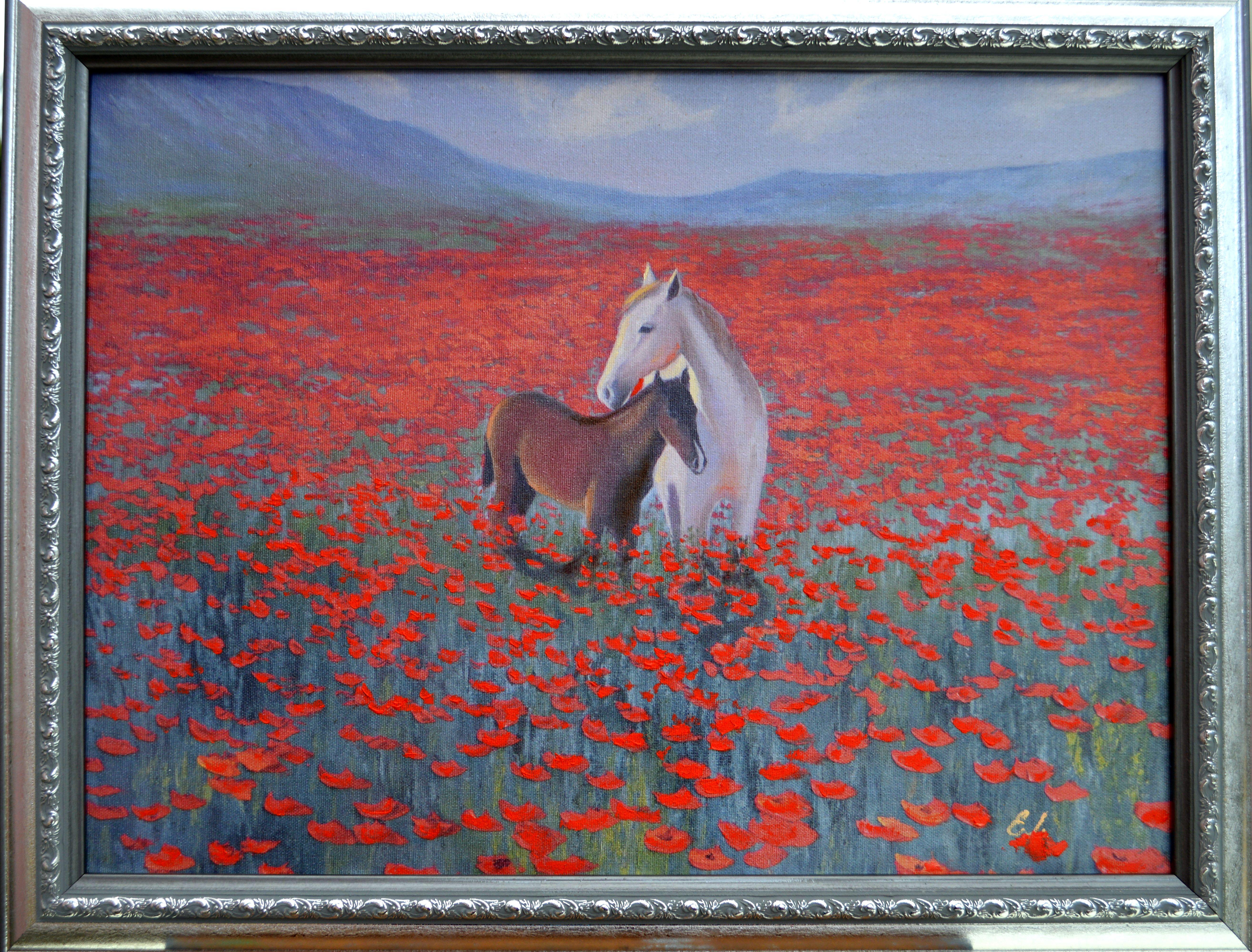 Champ de coquelicots
