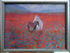 Champ de coquelicots