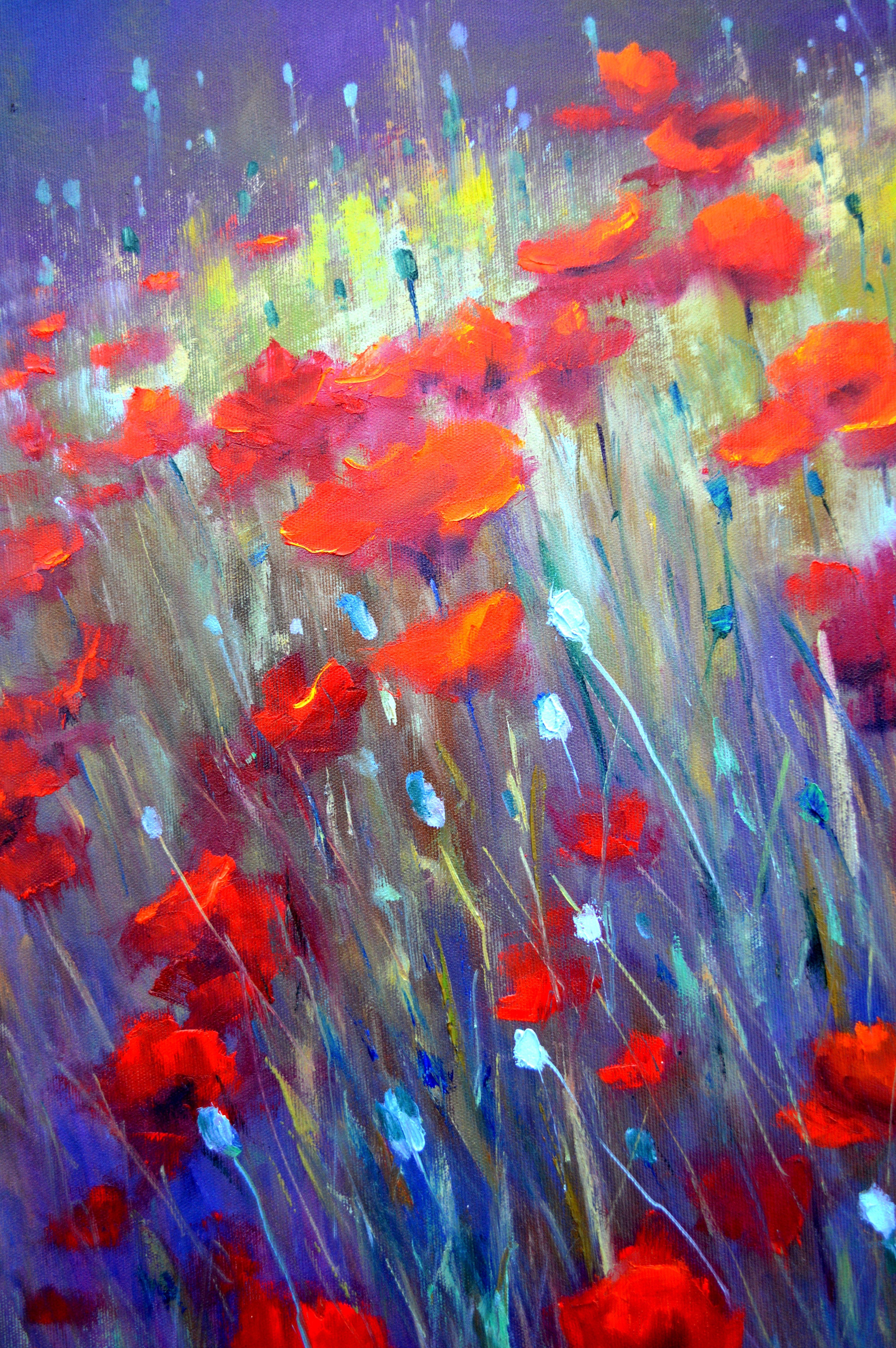 Field poppies 60X70 oil on canvas - Painting by Elena Lukina