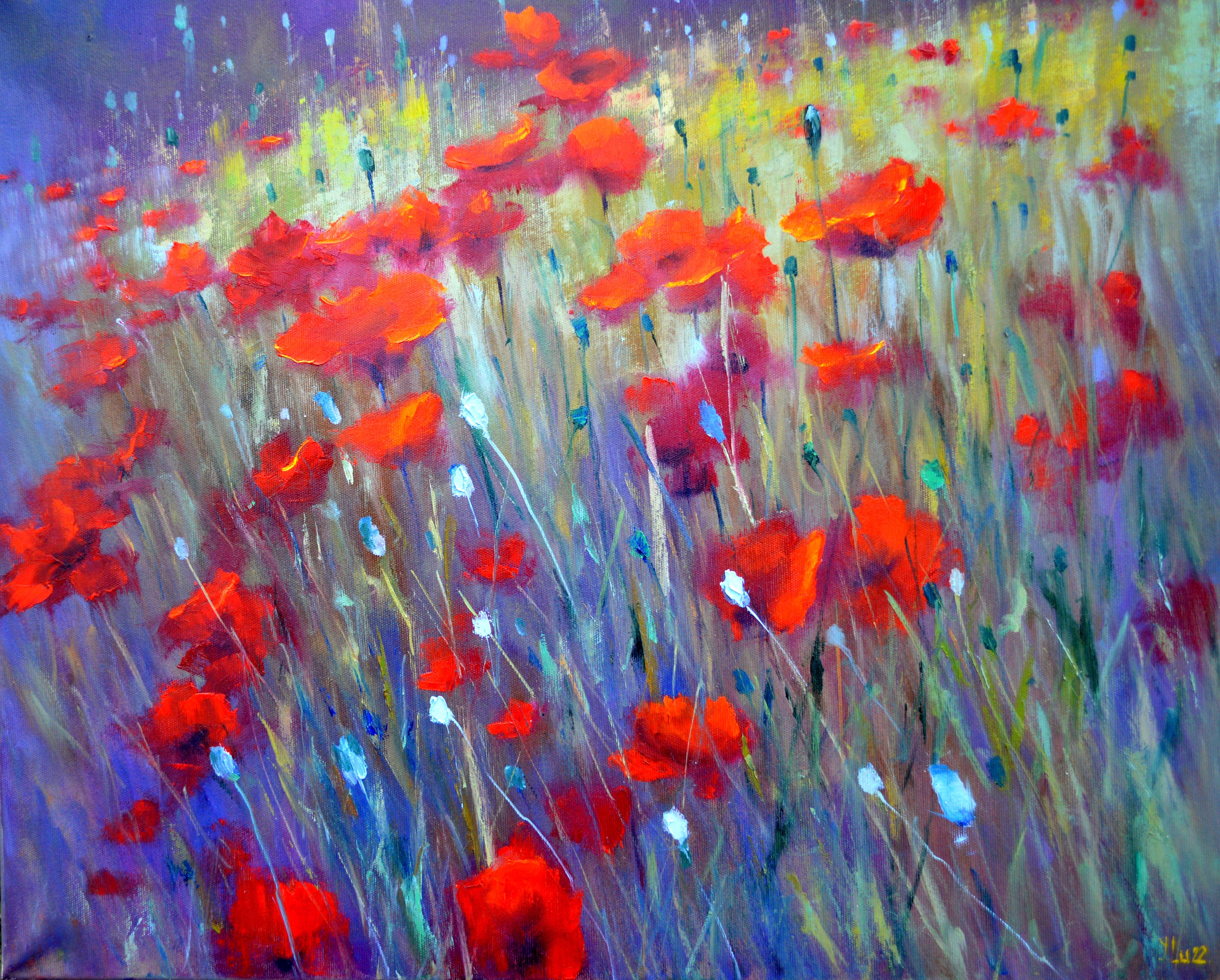 Elena Lukina Landscape Painting – Field Mohnblumen 60X70 Öl auf Leinwand