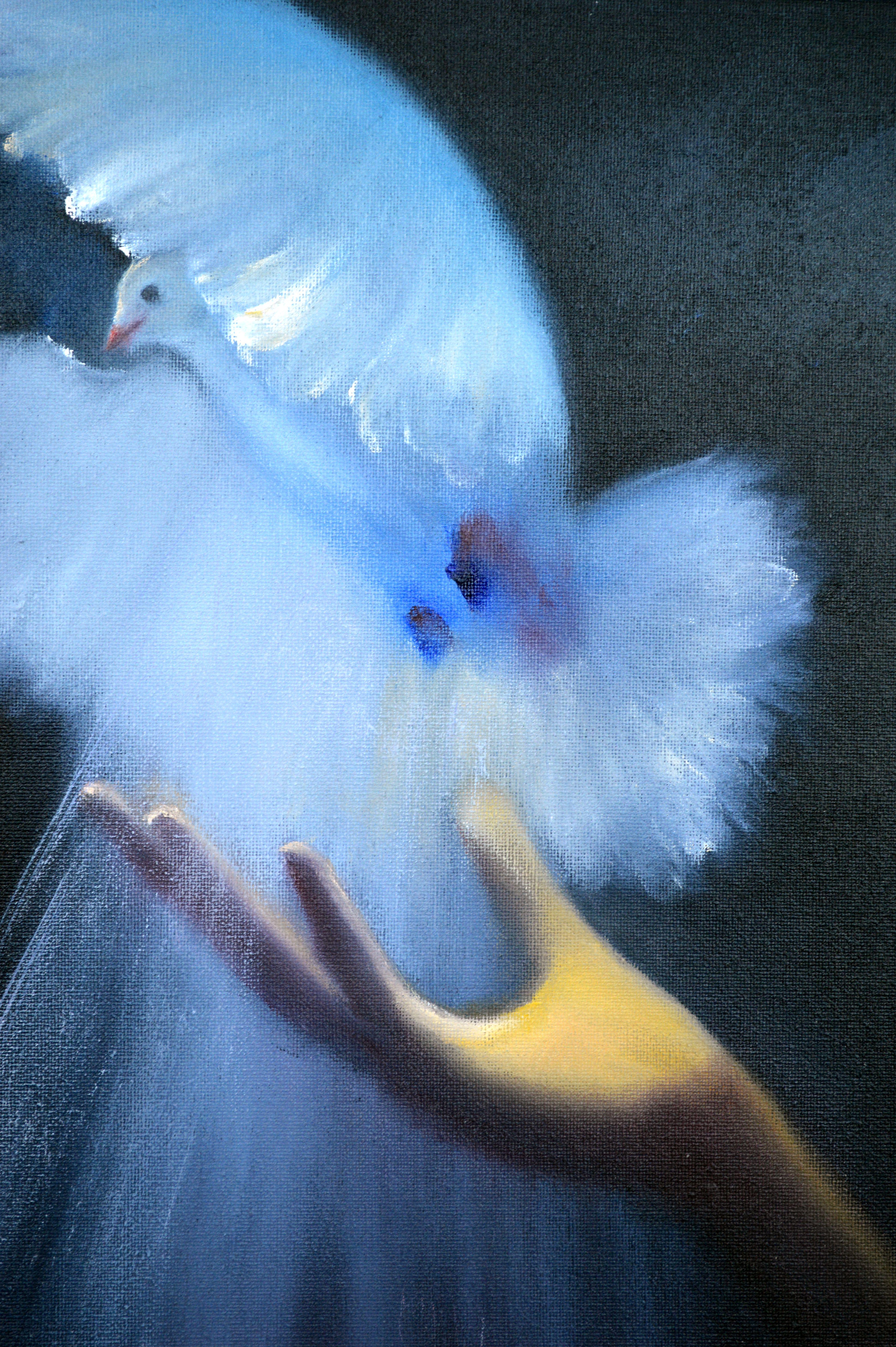 Fly! 40X40 Öl auf Leinwand im Angebot 1