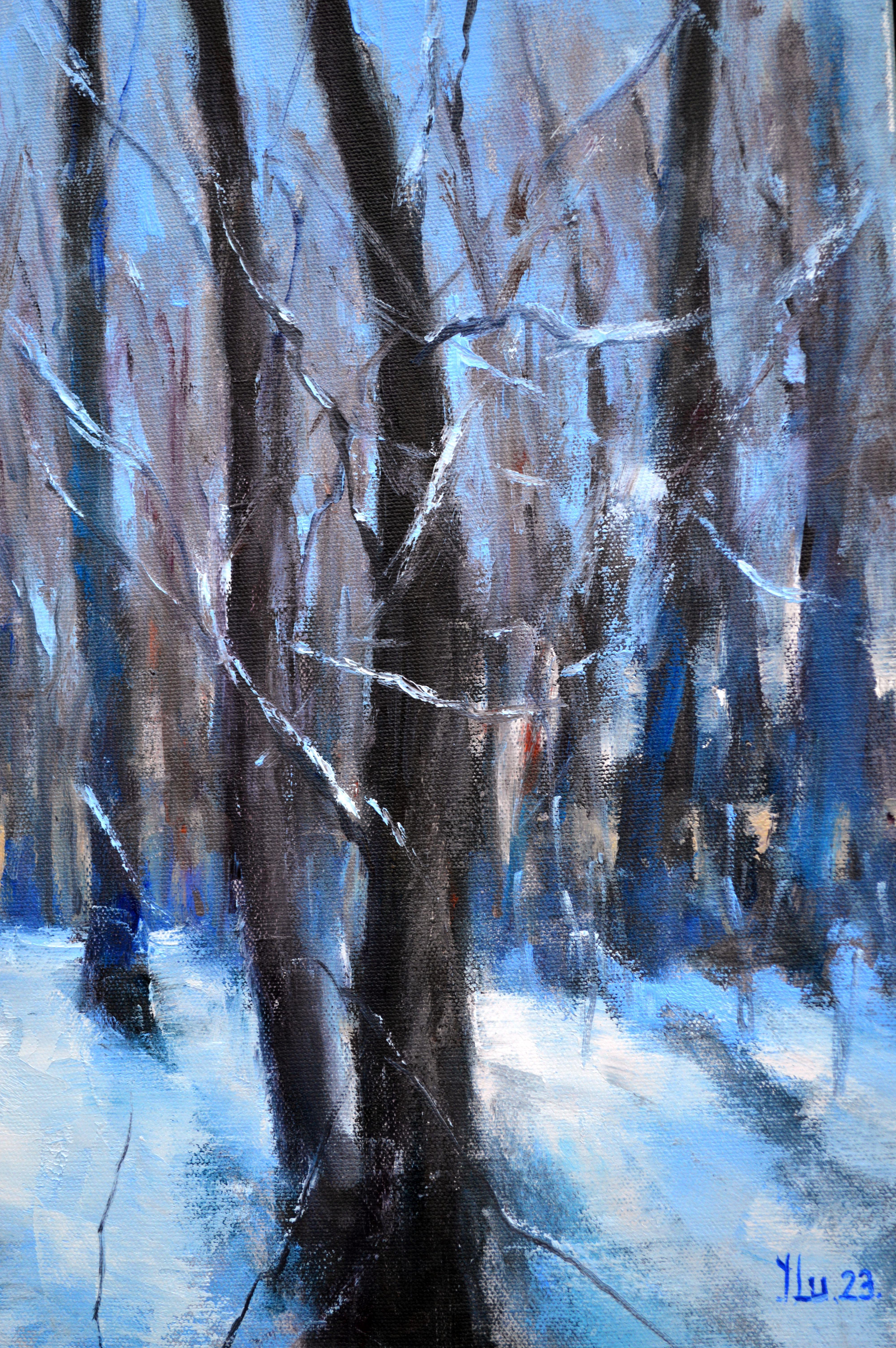 Bosque en días de enero 40X40 en venta 8