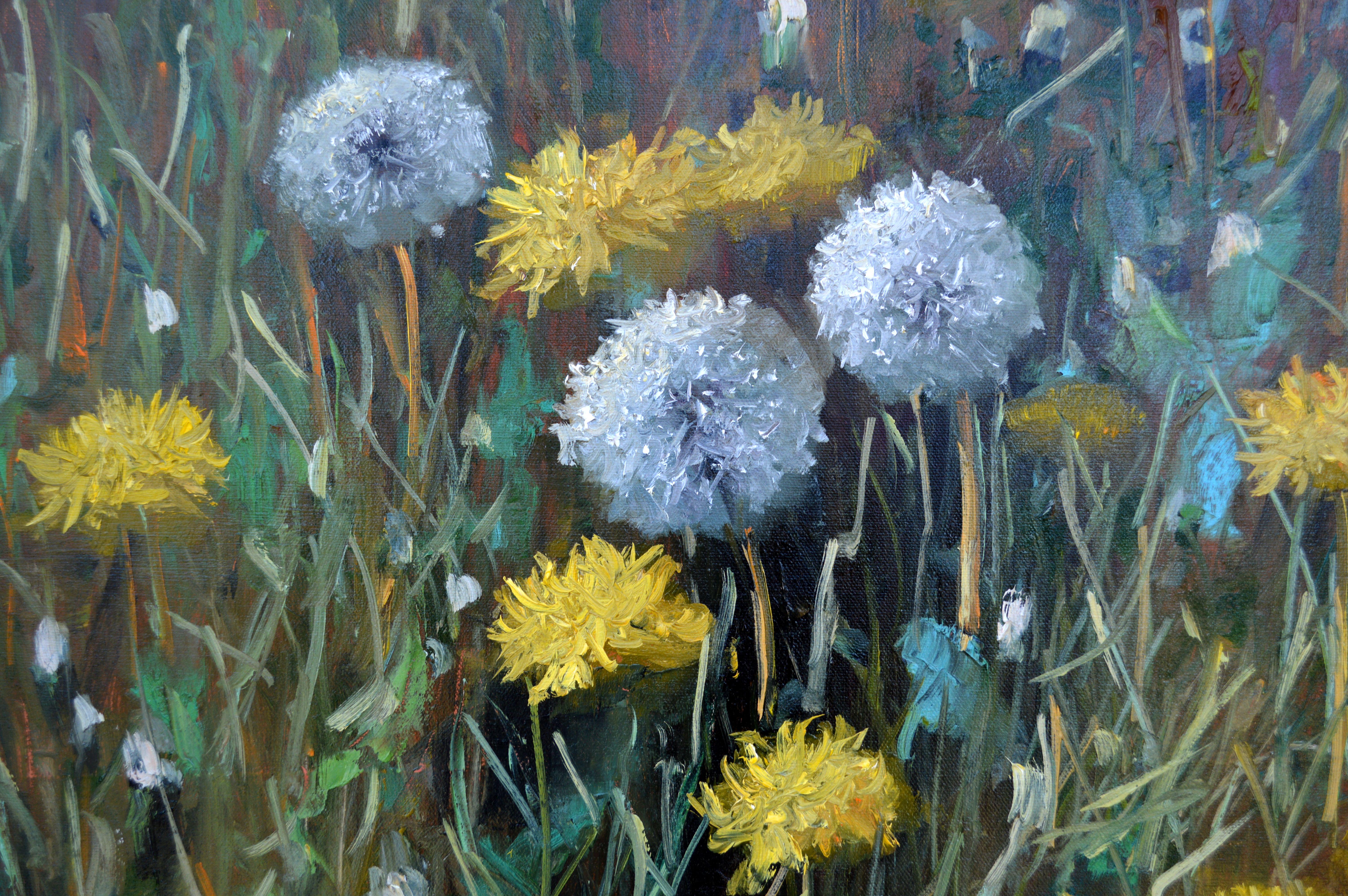 Fragment of a lawn of dandelions 50X70 For Sale 9