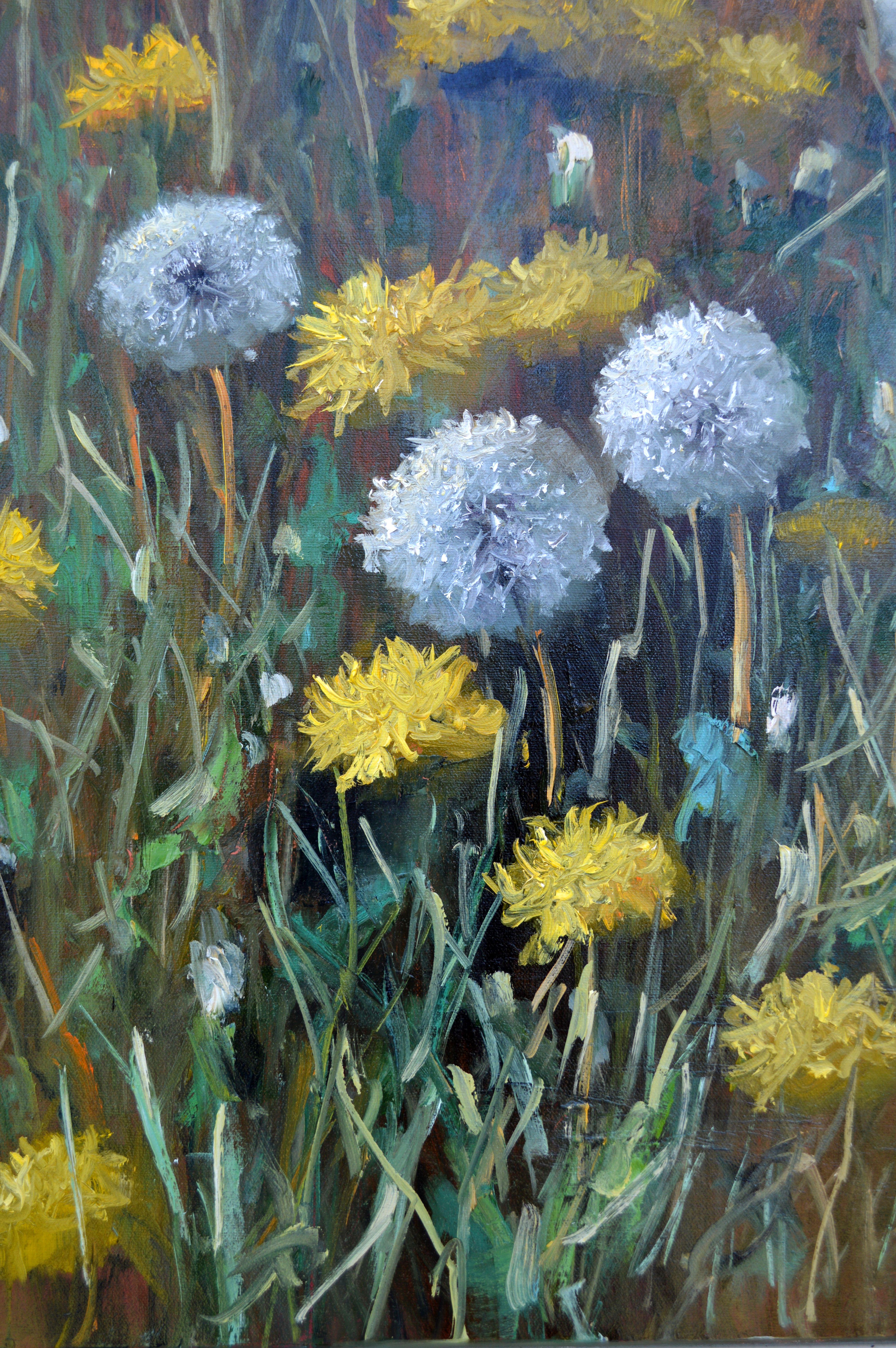 Fragment of a lawn of dandelions 50X70 For Sale 10