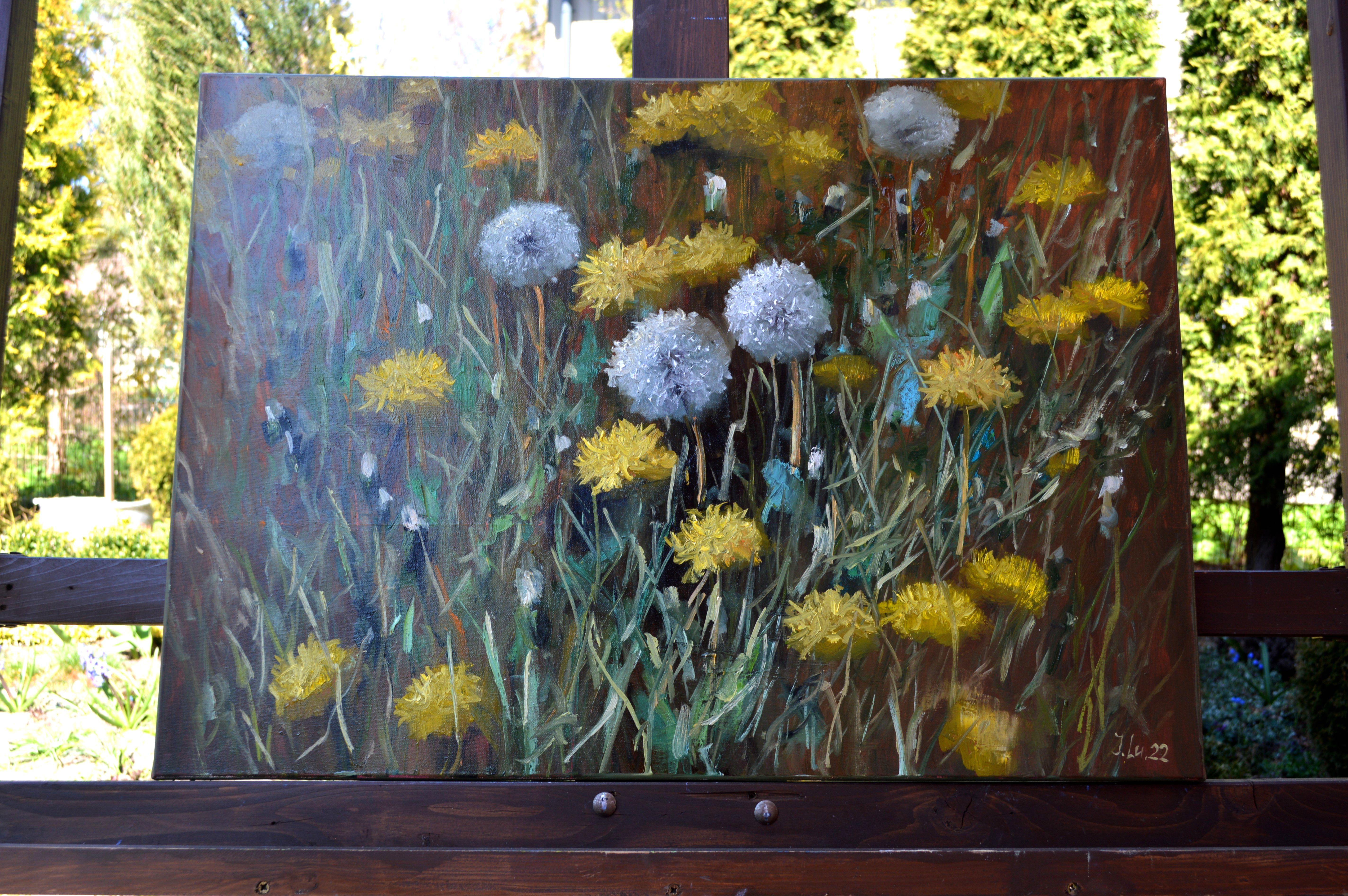Fragment of a lawn of dandelions 50X70 For Sale 13