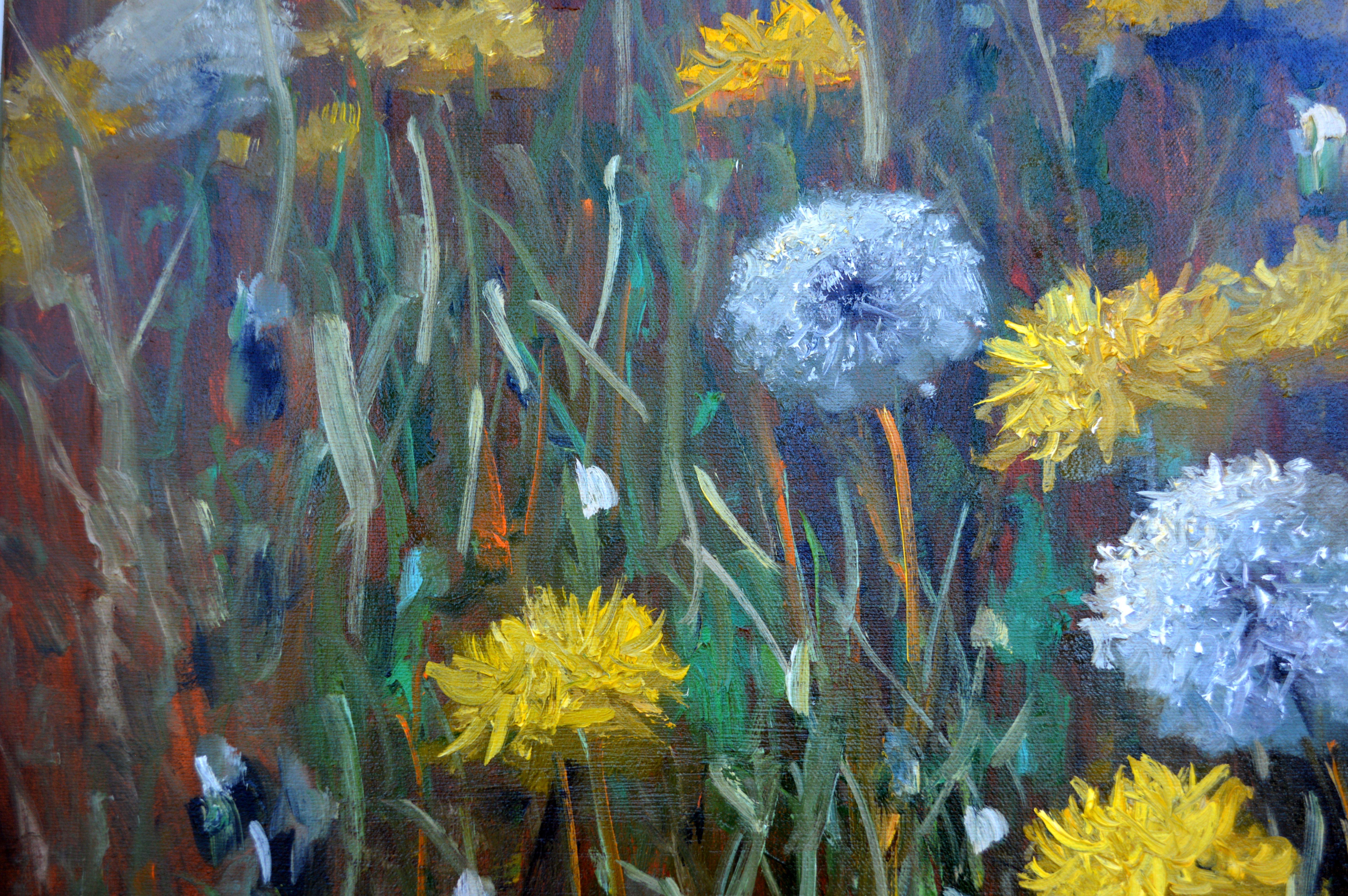 Fragment of a lawn of dandelions 50X70 For Sale 8