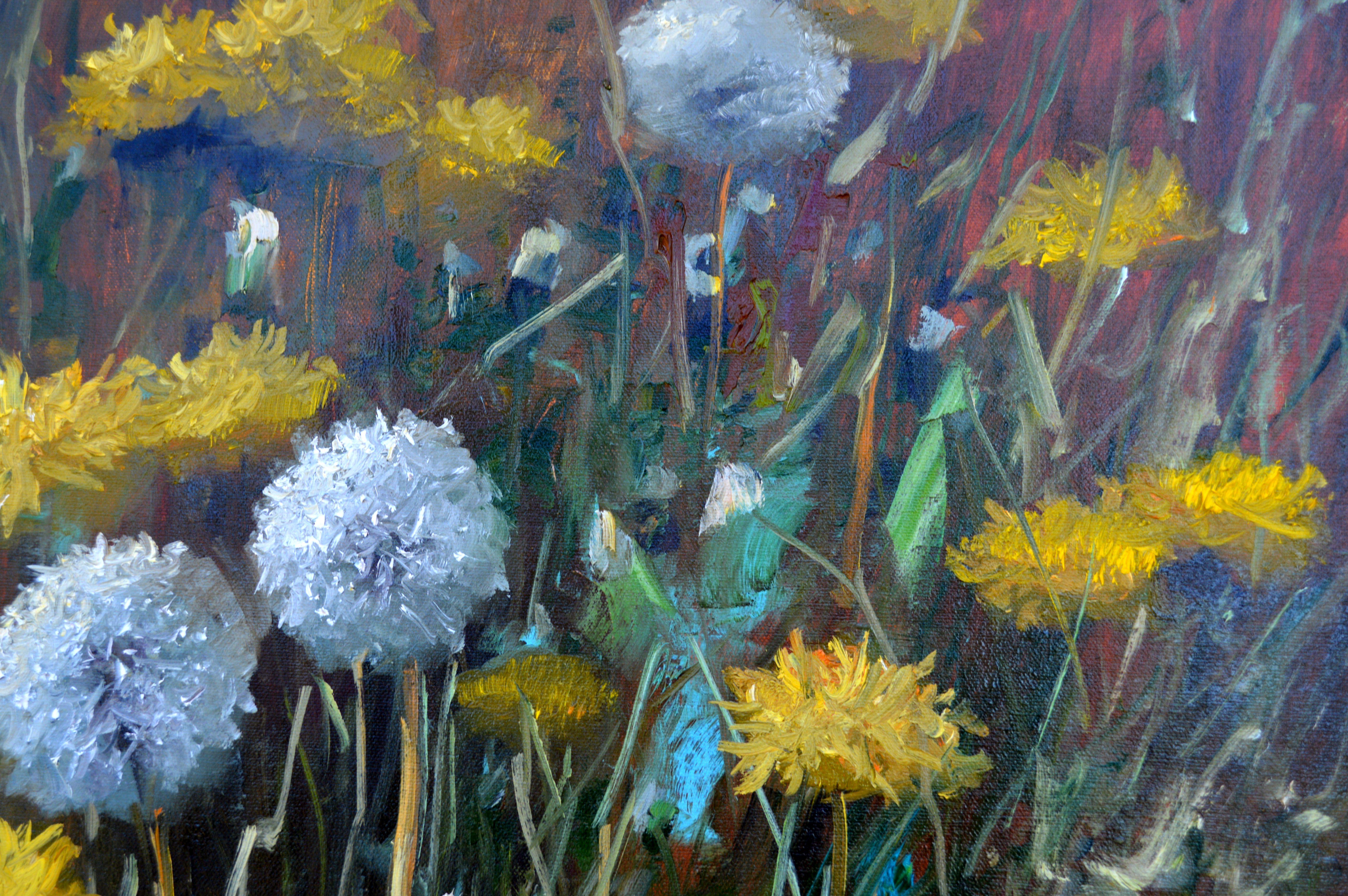 Fragment of a lawn of dandelions 50X70 For Sale 9