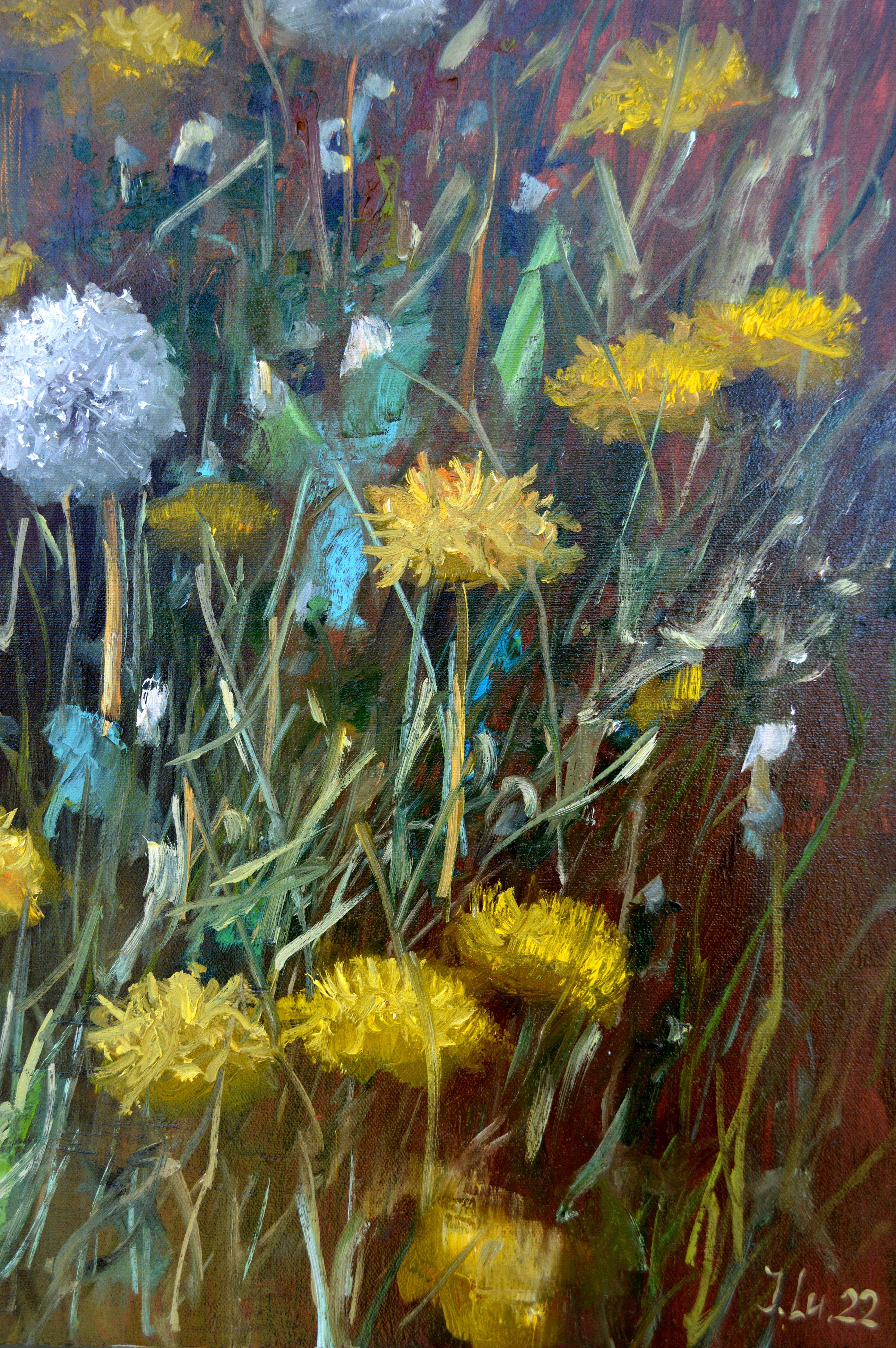 Fragment of a lawn of dandelions 50X70 For Sale 12