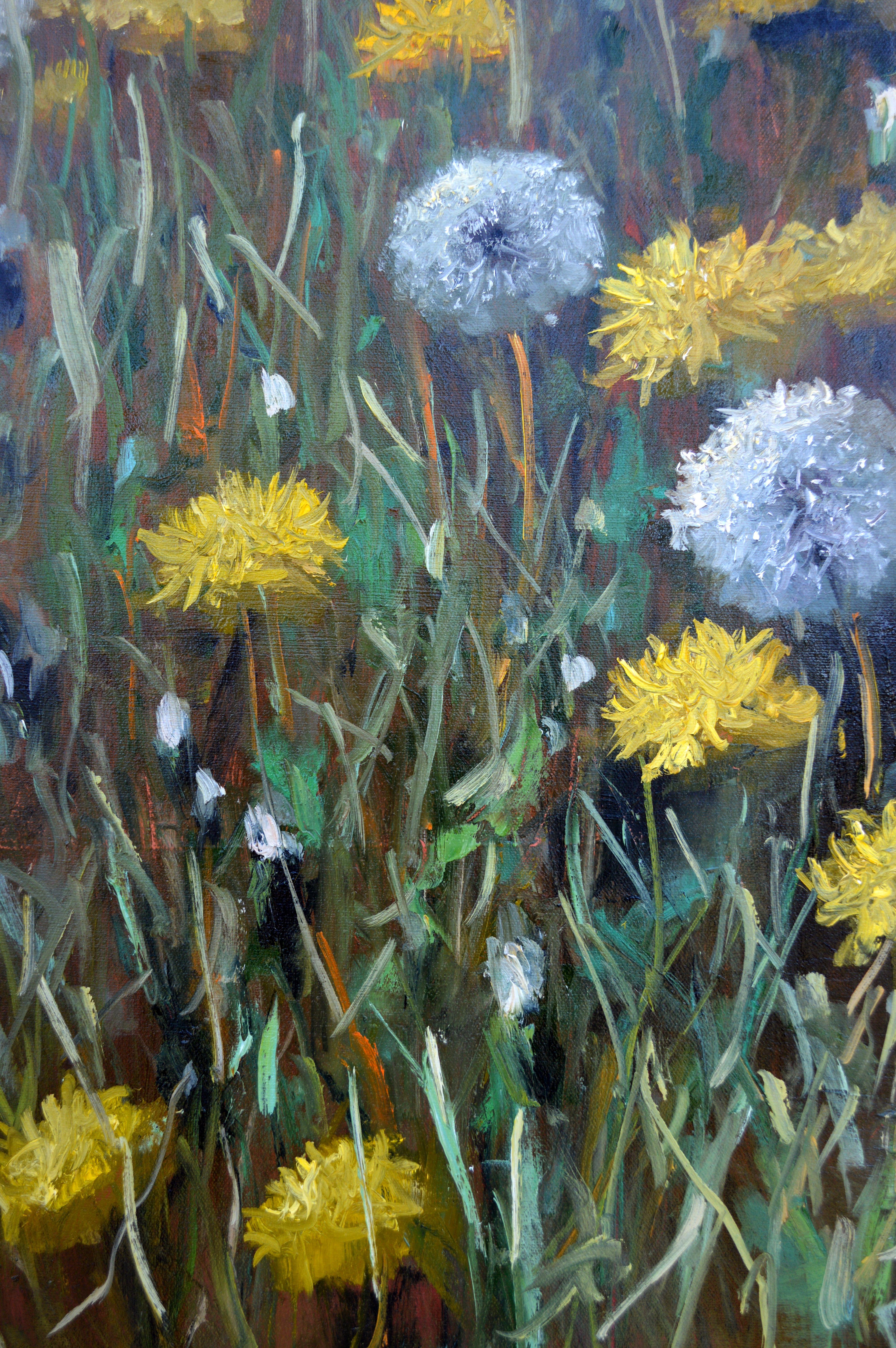 Fragment of a lawn of dandelions 50X70 For Sale 13