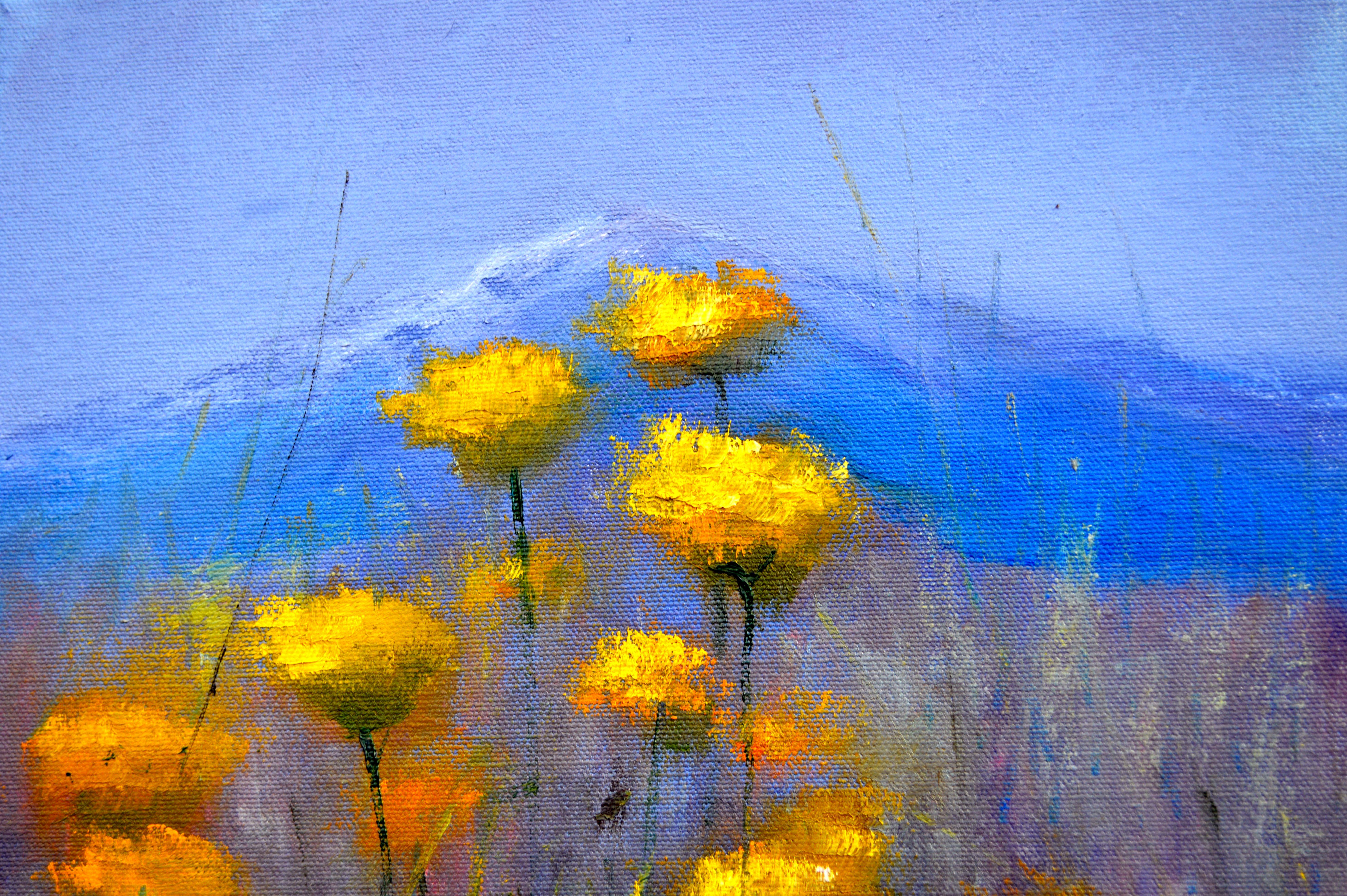 Gentle Mountain meadow im Angebot 3