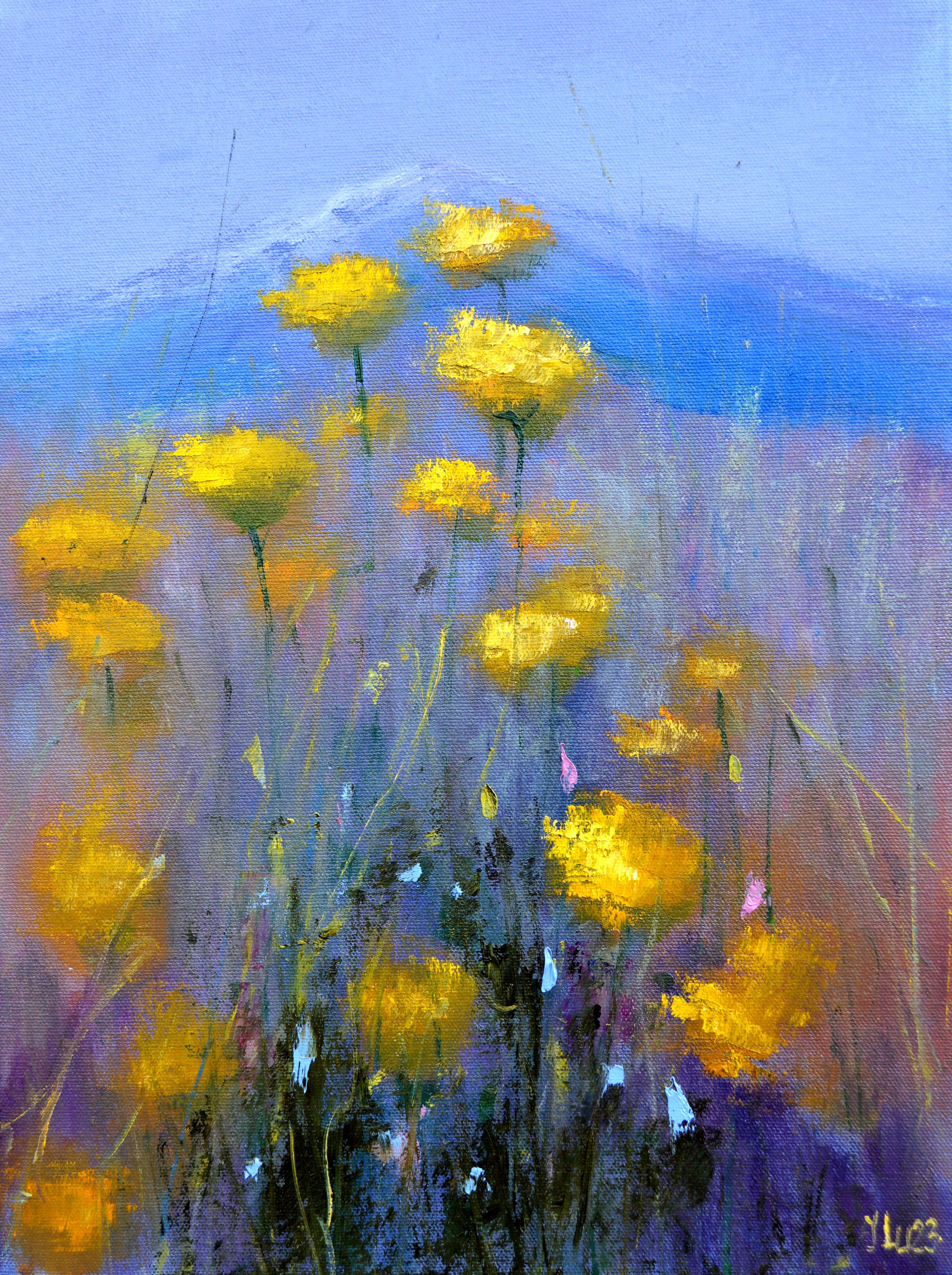Gentle Mountain meadow