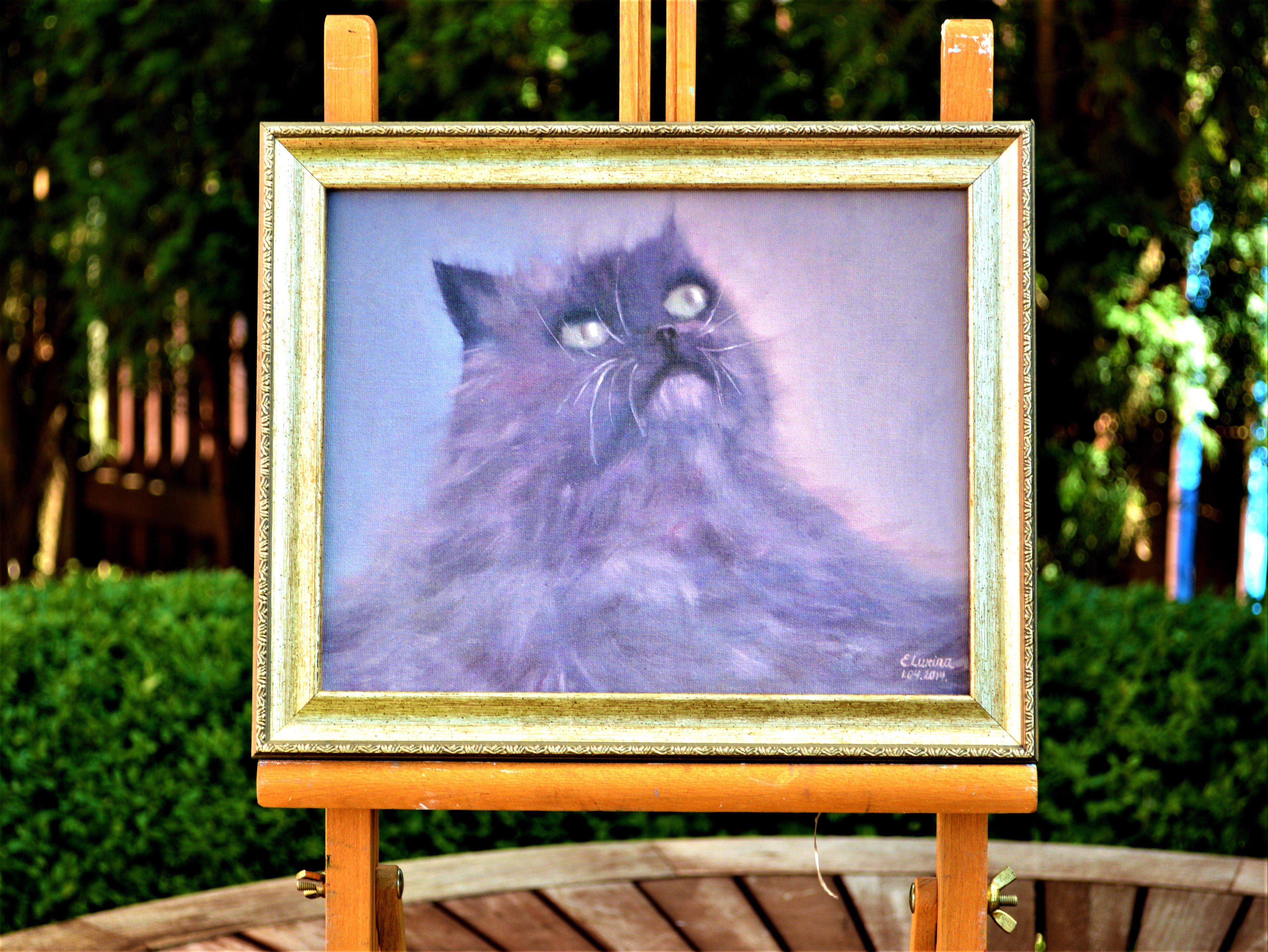 Gris esponjoso en venta 6