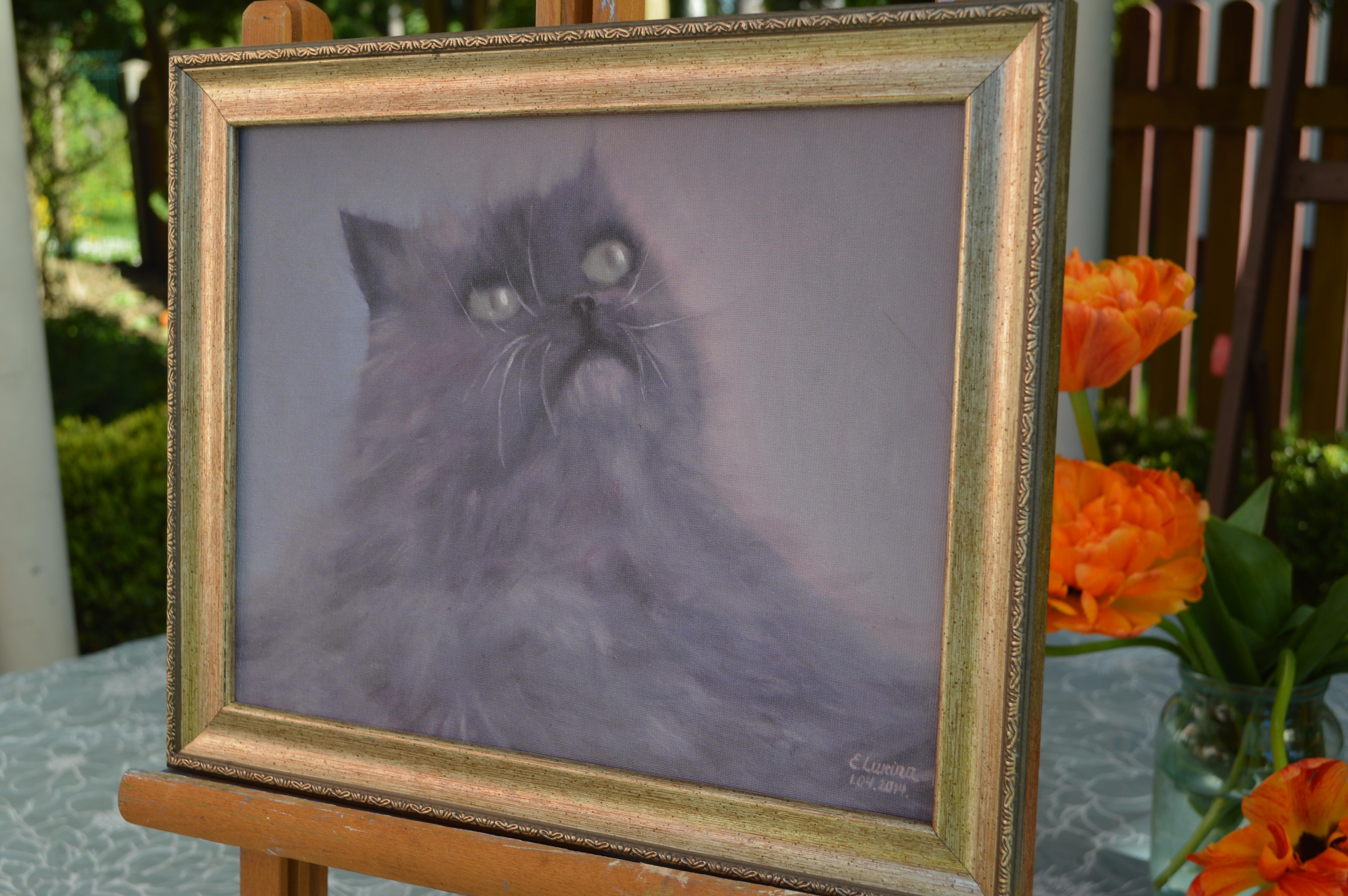 Gris esponjoso en venta 1
