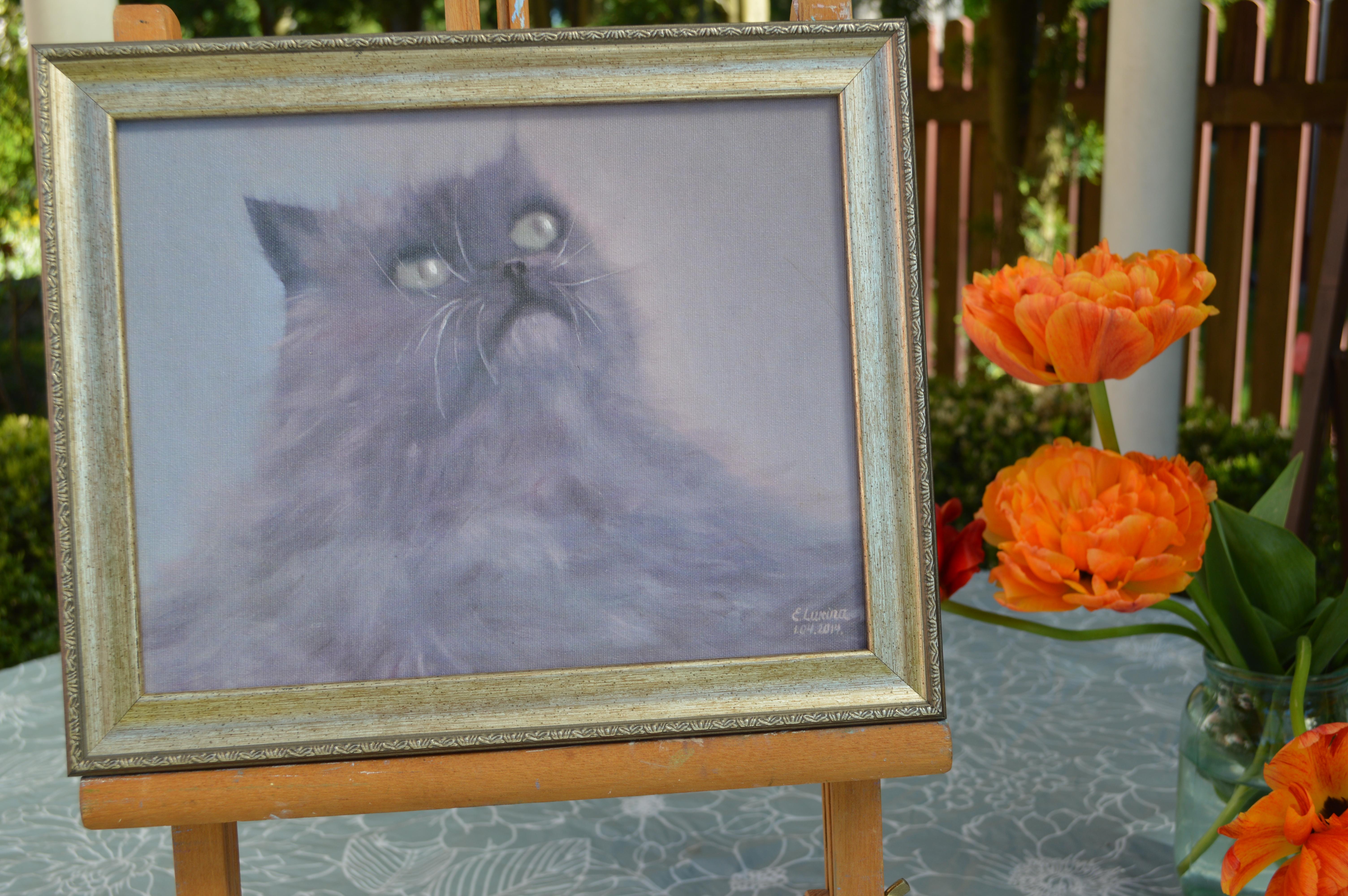 Gris esponjoso en venta 2