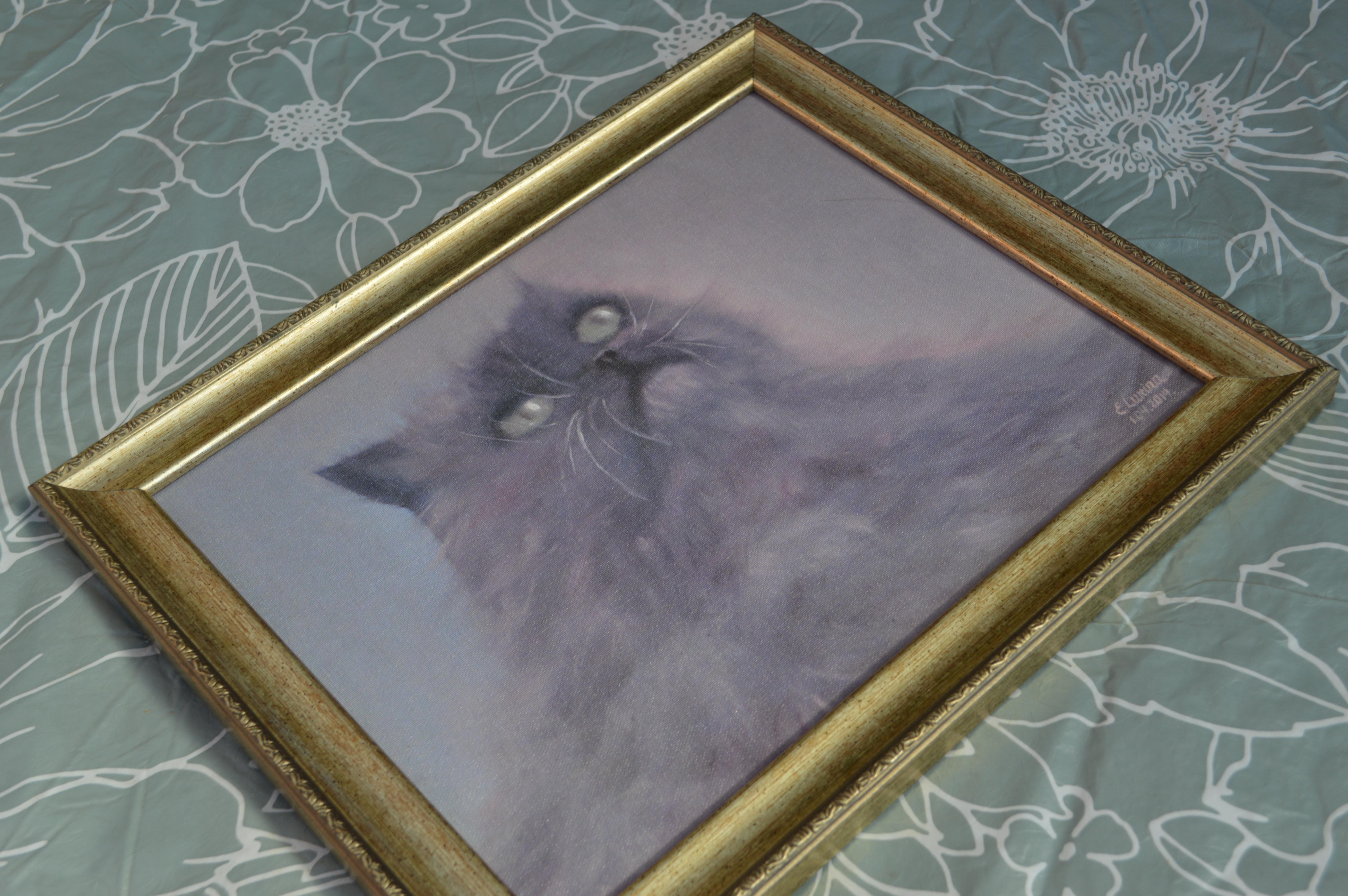 Gris esponjoso en venta 3