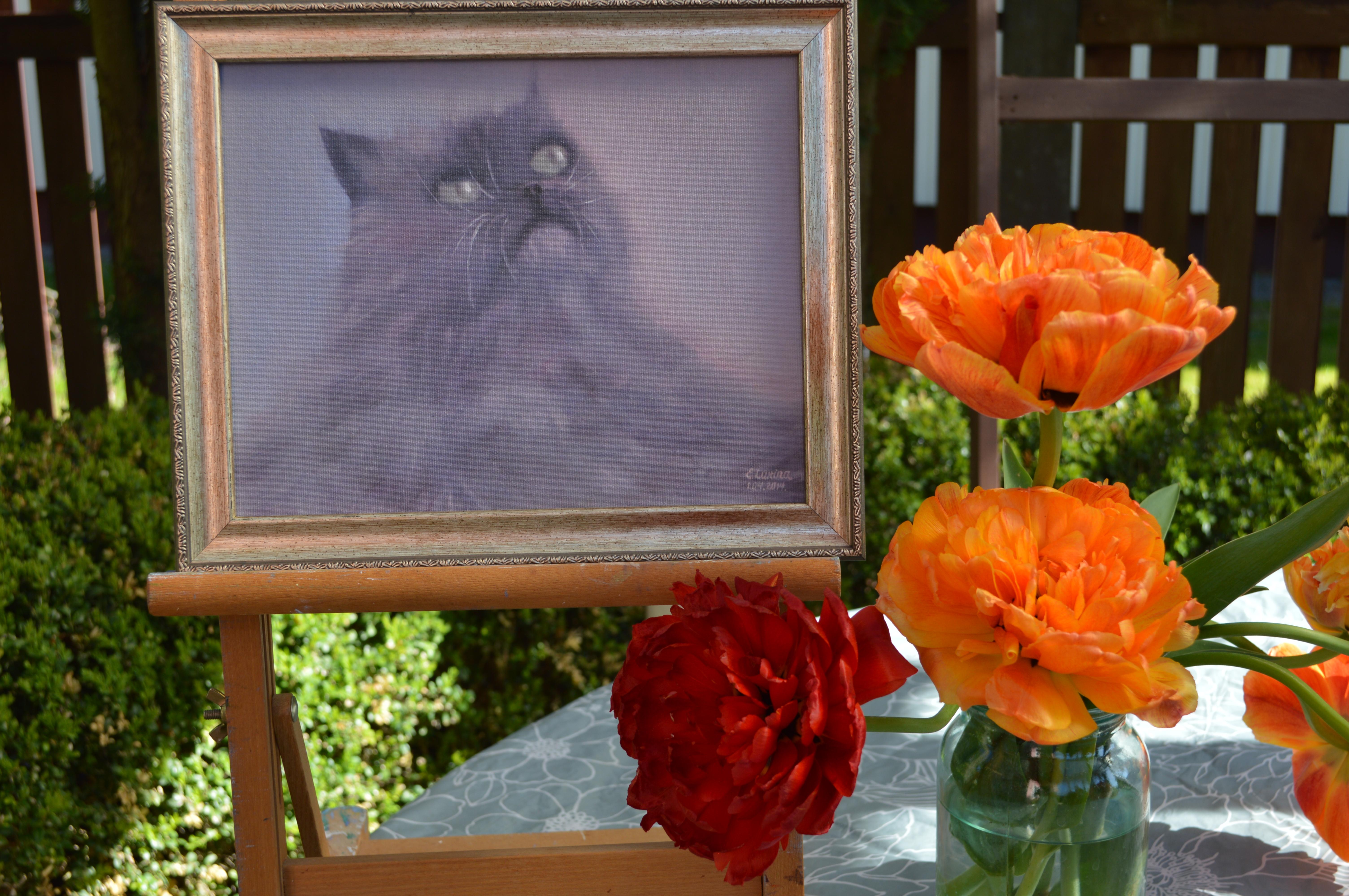 Gris esponjoso en venta 4