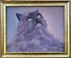 Gris duveteux