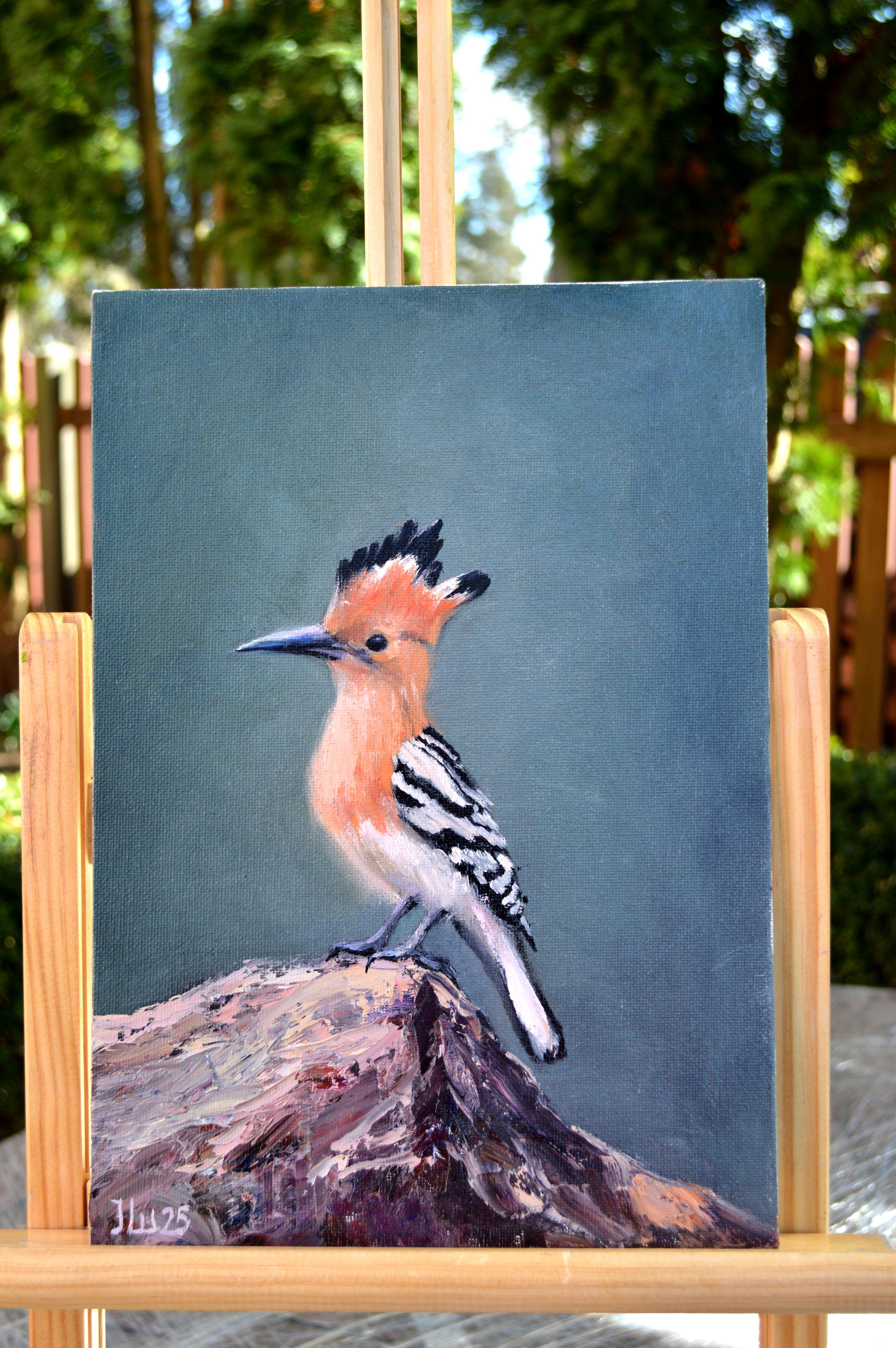 Hoopoe bird For Sale 5