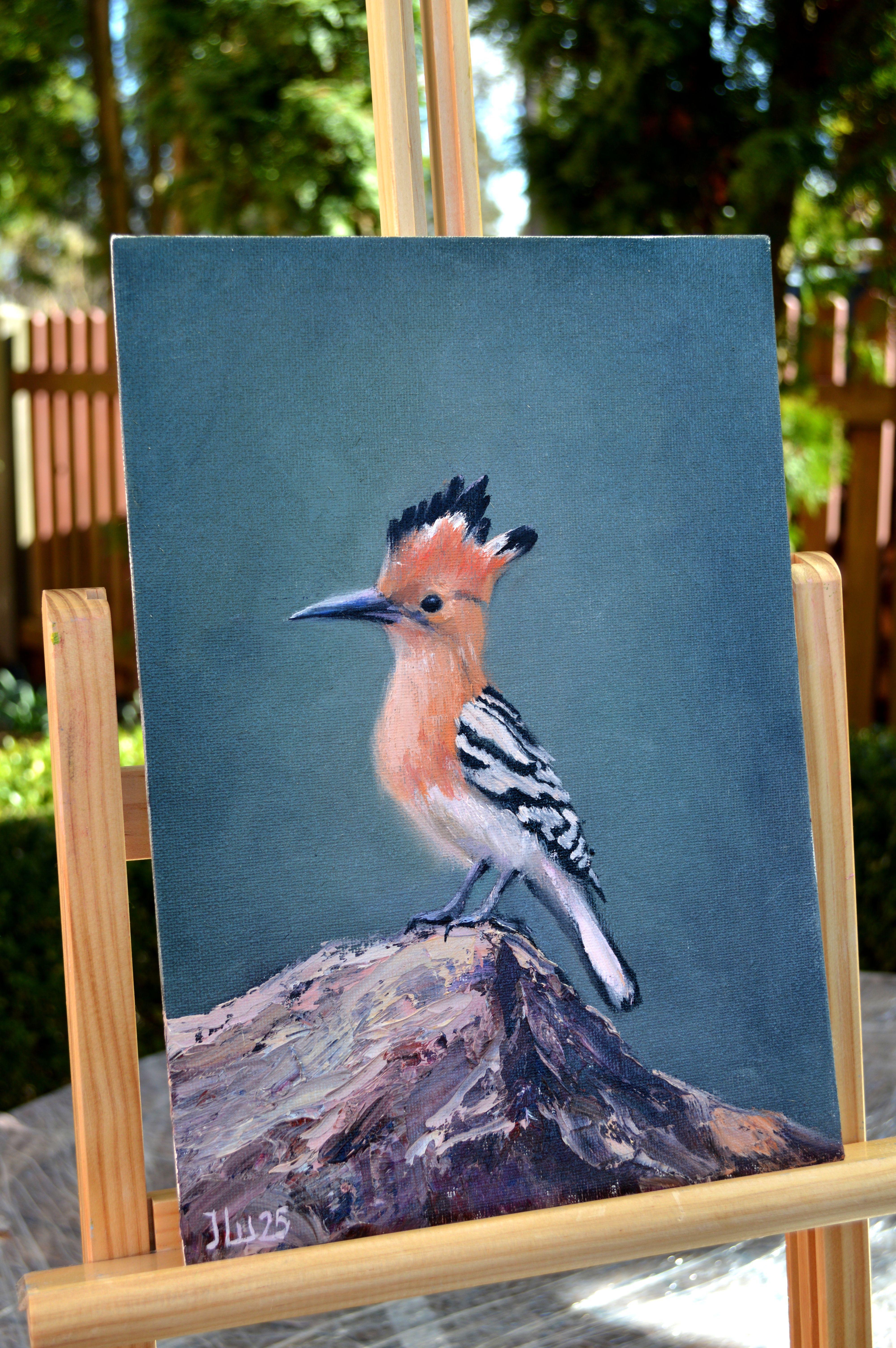 Hoopoe bird For Sale 6