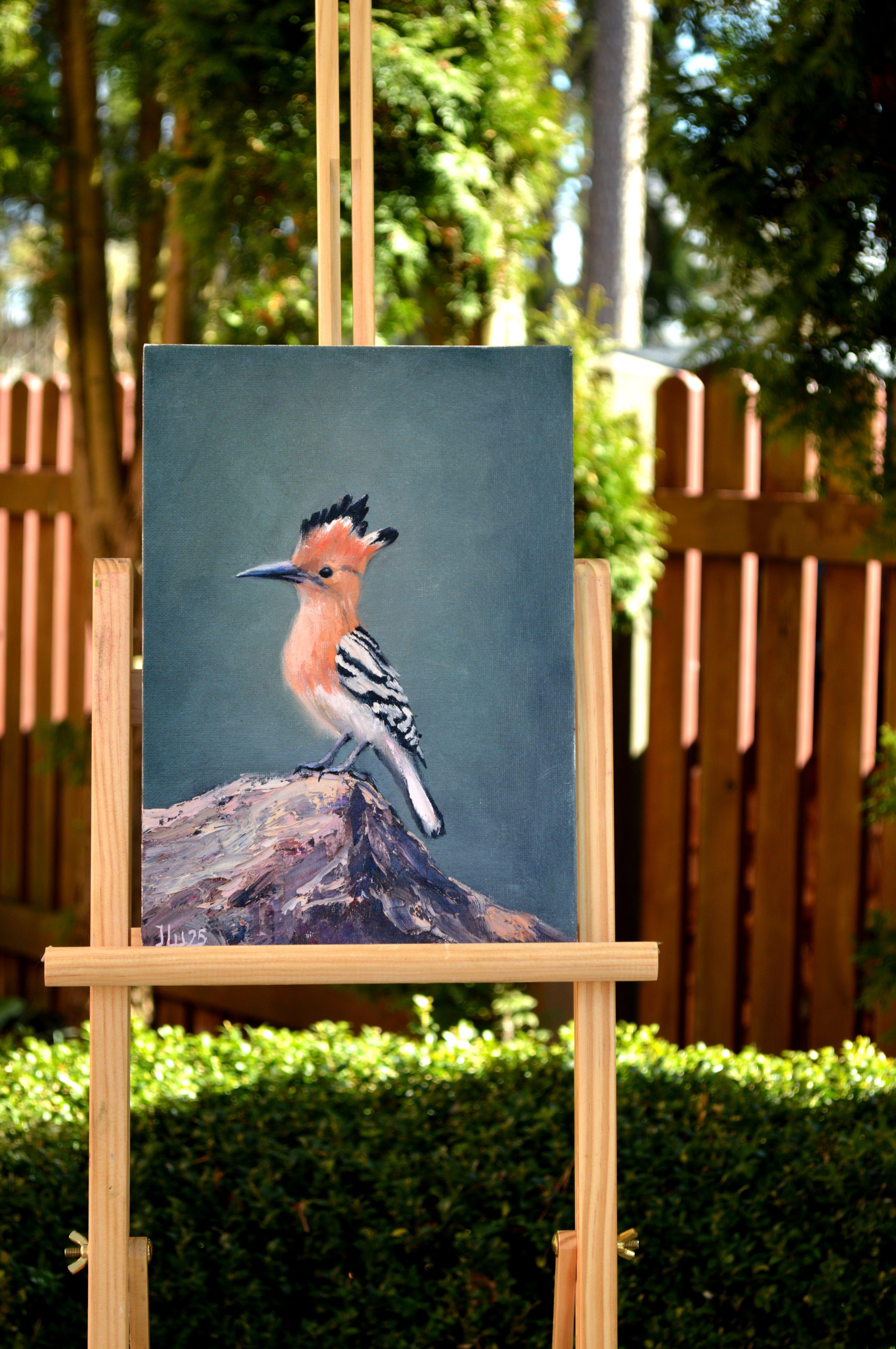 Hoopoe bird For Sale 1