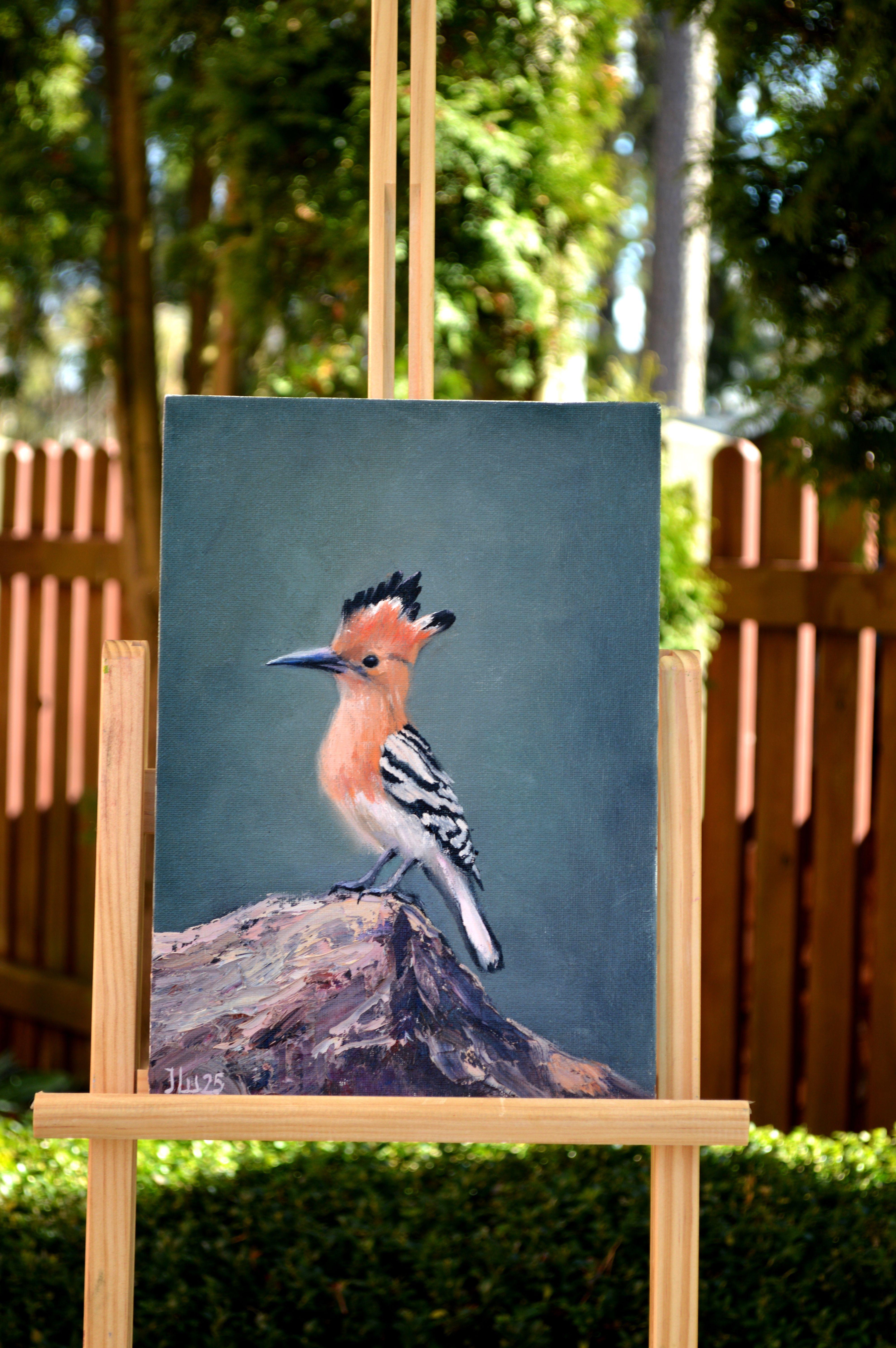 Hoopoe bird For Sale 2