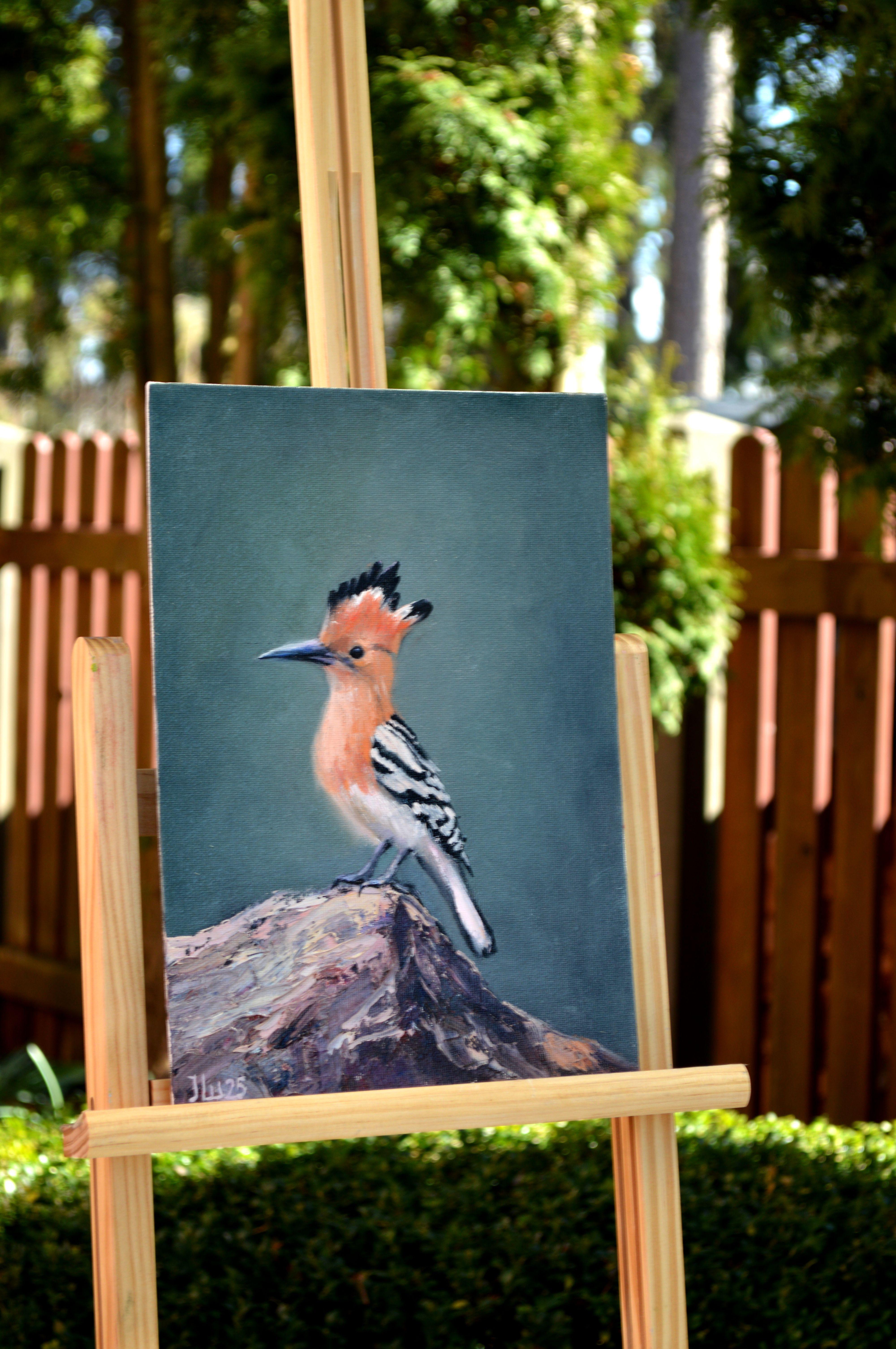 Hoopoe bird For Sale 3