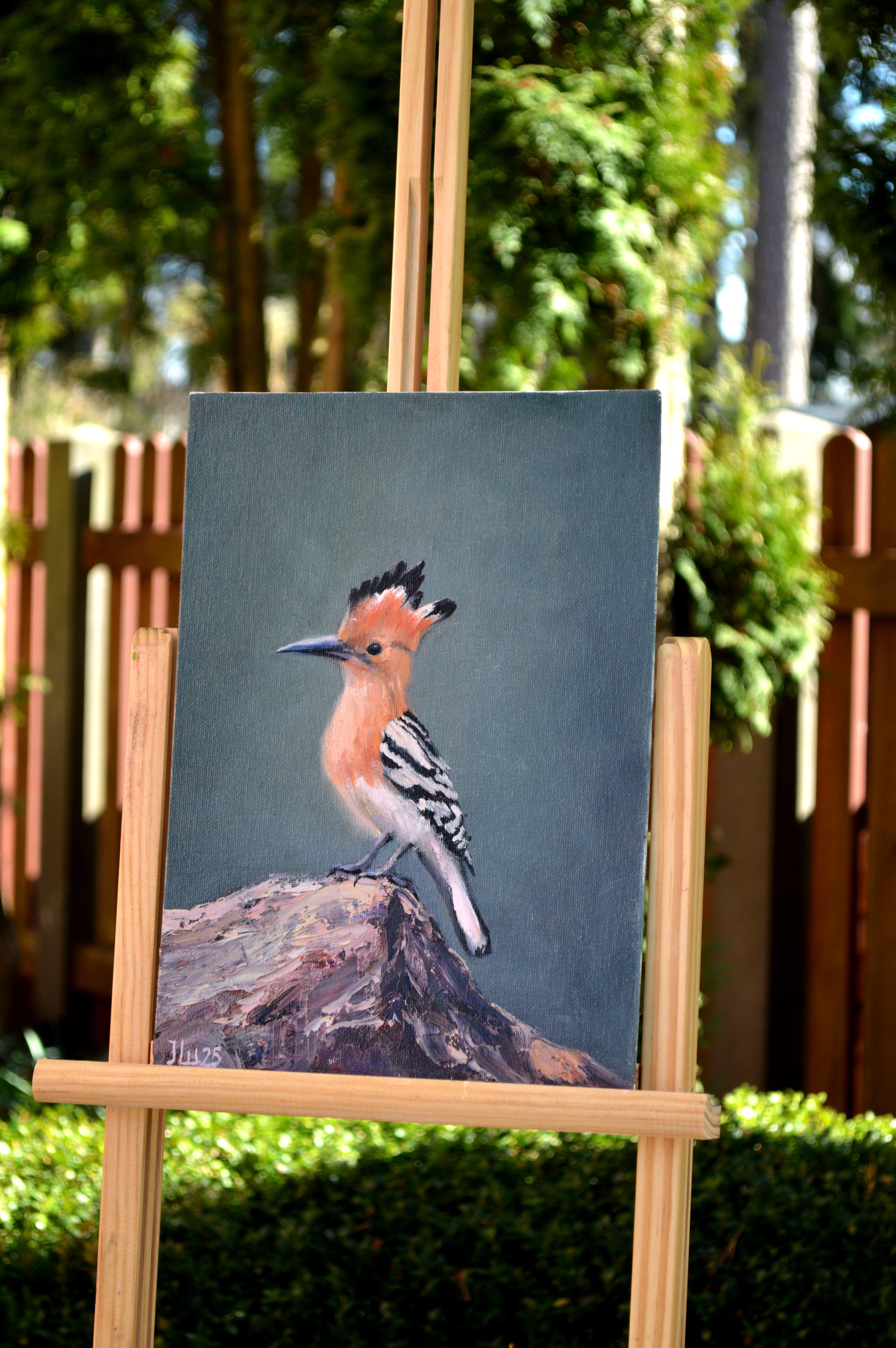 Hoopoe bird For Sale 4