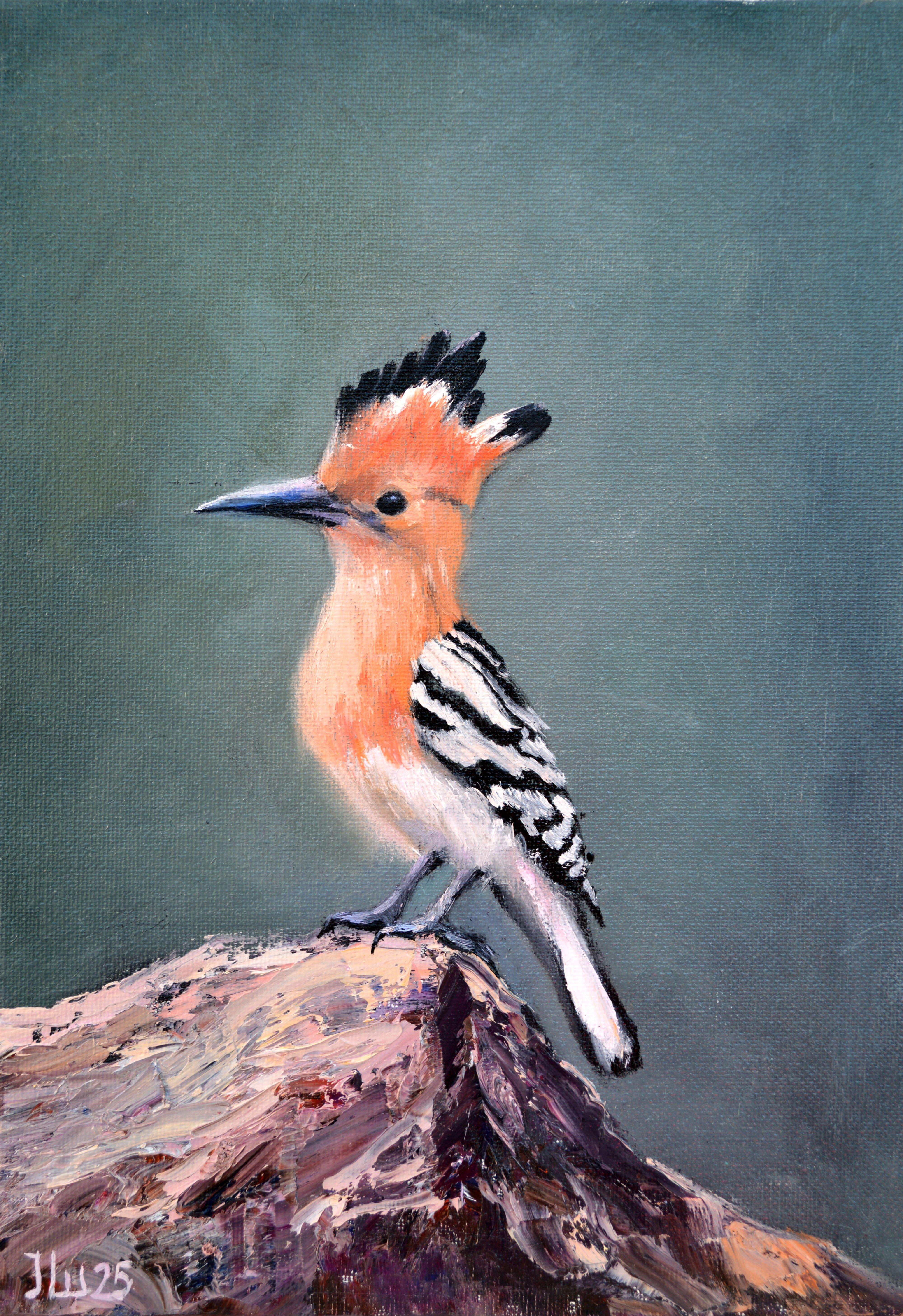 Uccello upupa