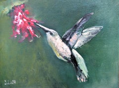 Colibrí