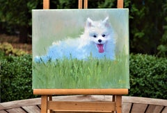 Japanese Spitz puppy