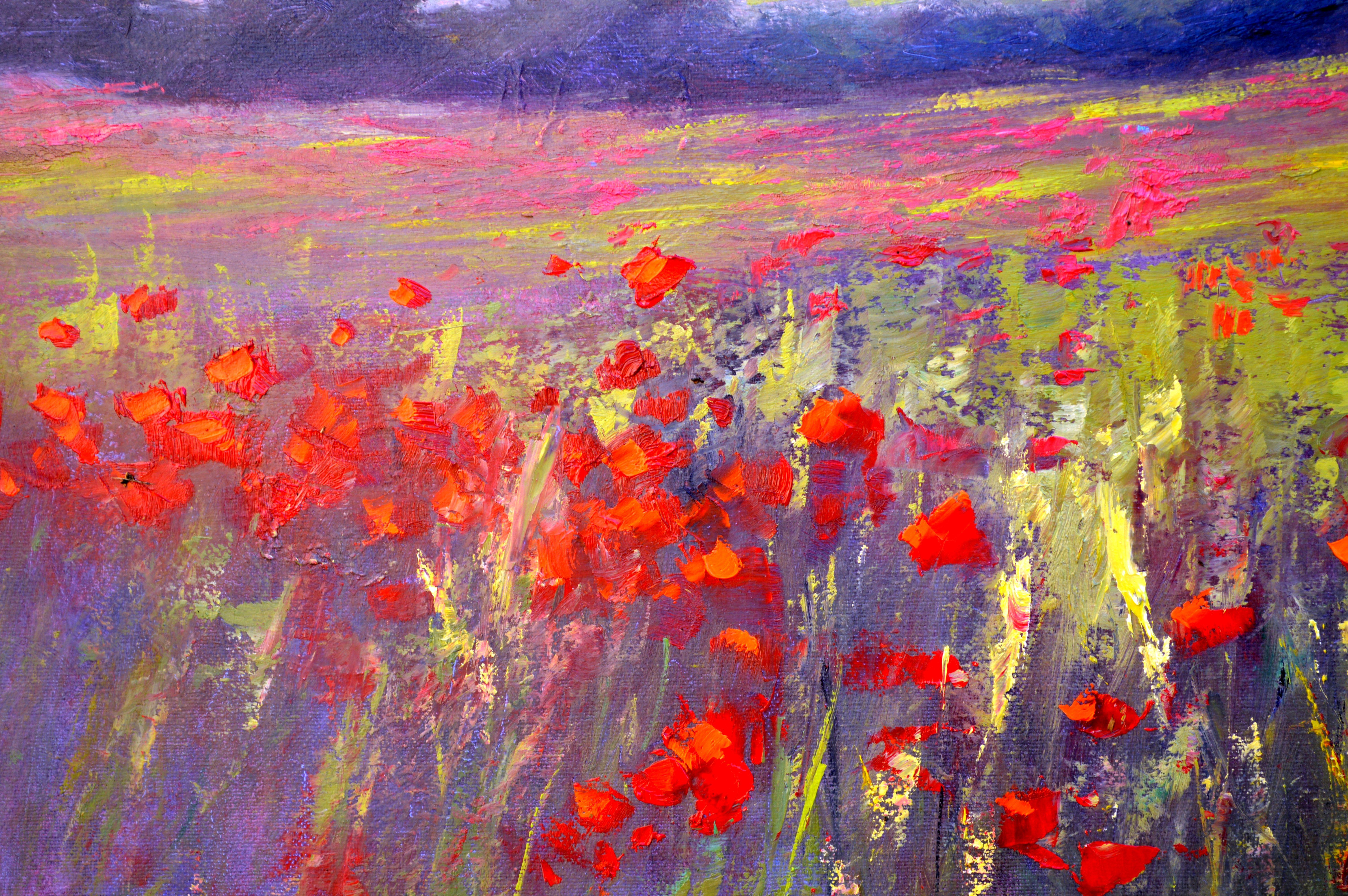 Paysage avec champ de coquelicots en vente 12