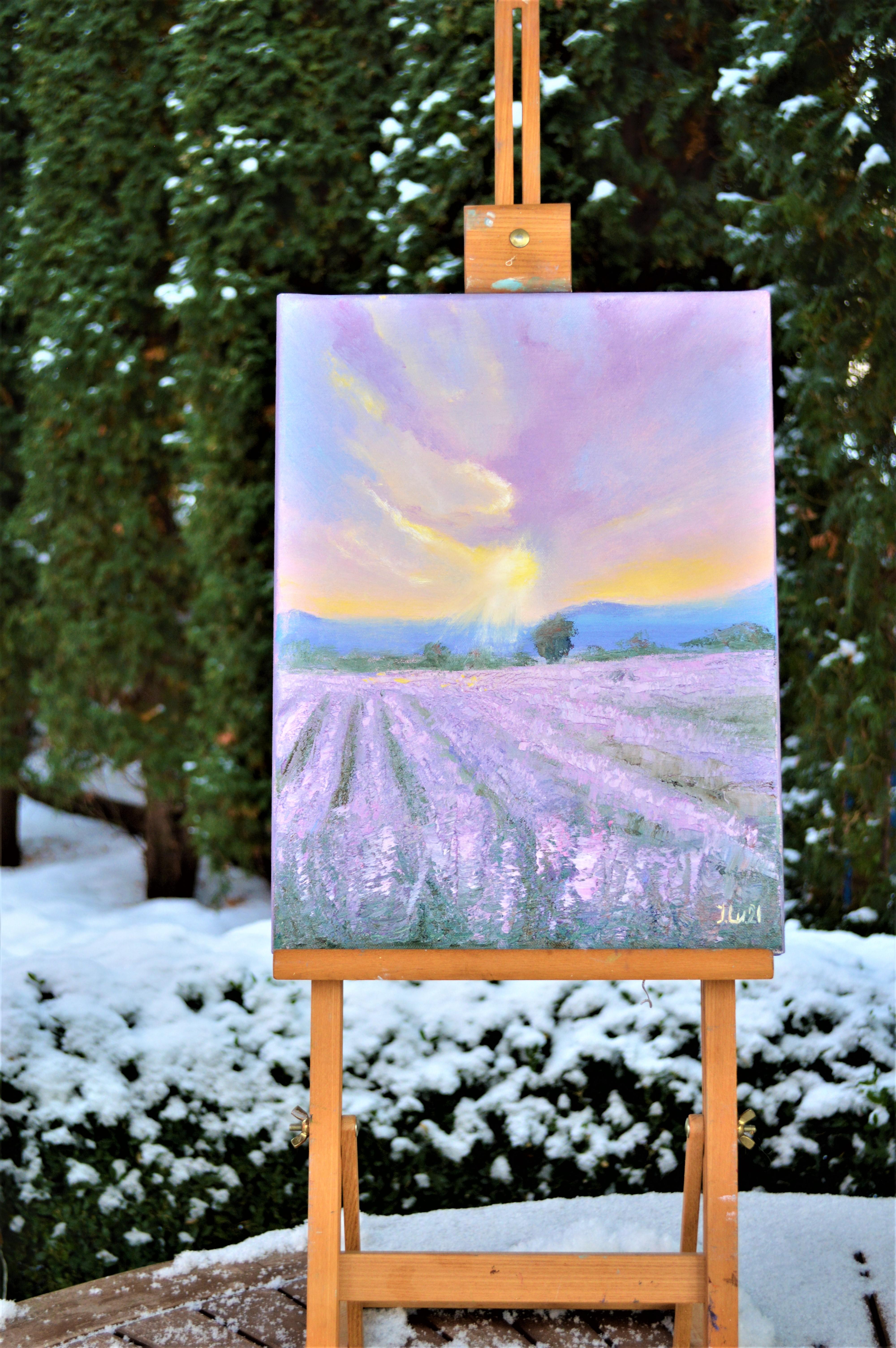 Lavender evening For Sale 3