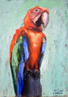 Pappagallo ara