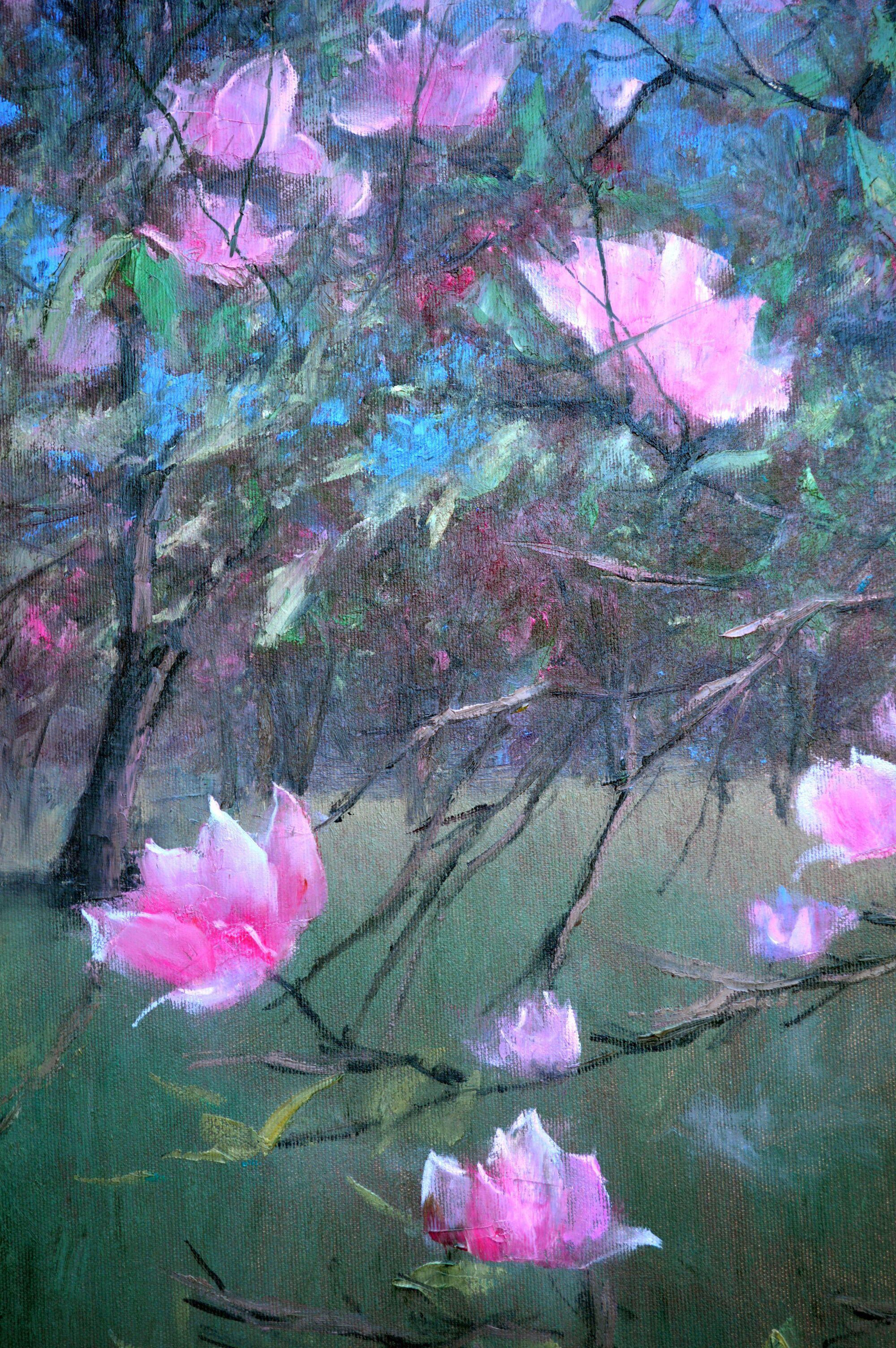 Magnolia en flor en venta 3