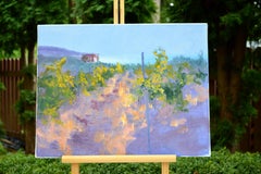 Morning in a sunny vineyard