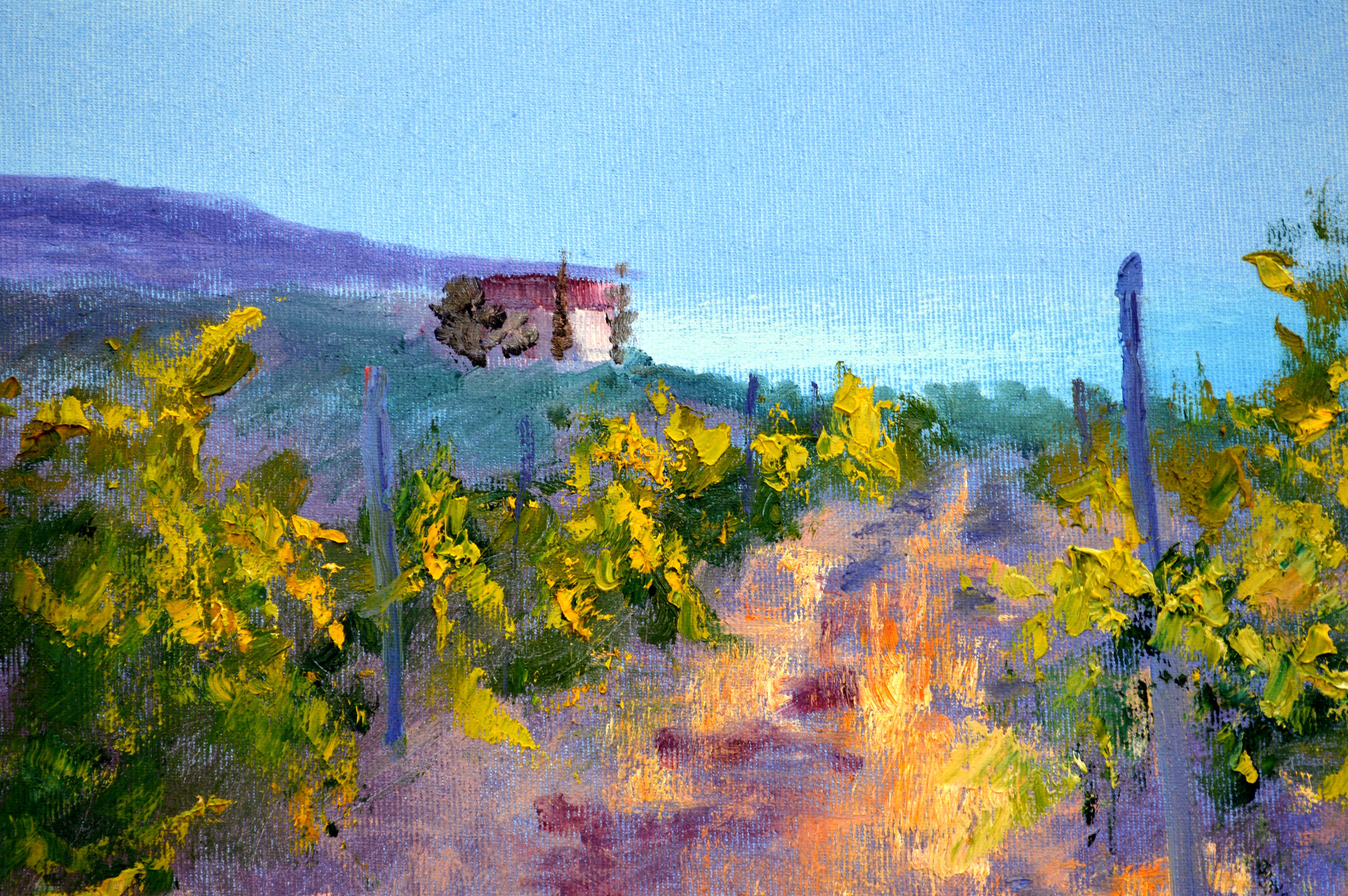 Mattina in un vigneto soleggiato in vendita 1
