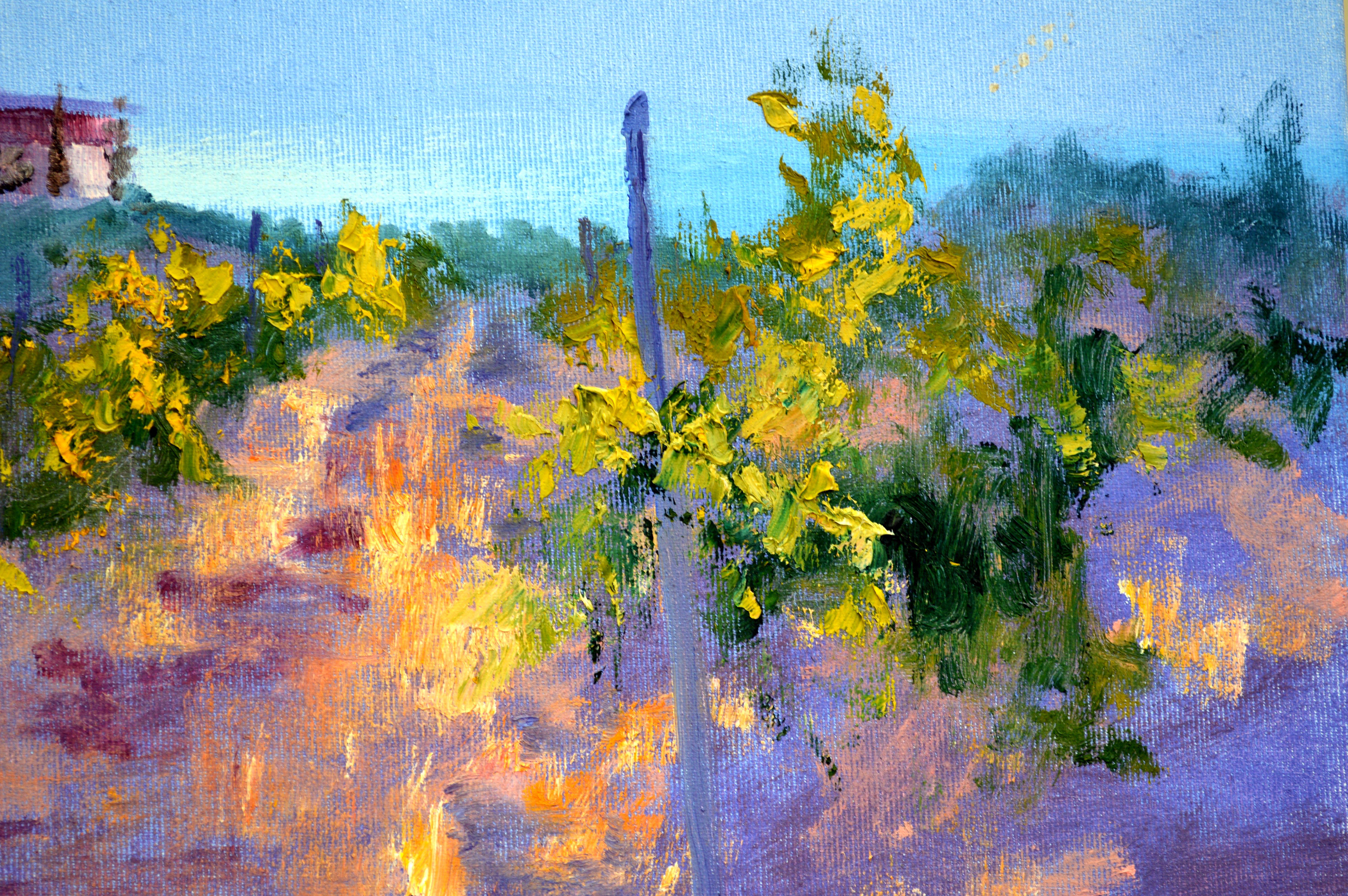 Mattina in un vigneto soleggiato in vendita 2