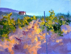 Mattina in un vigneto soleggiato