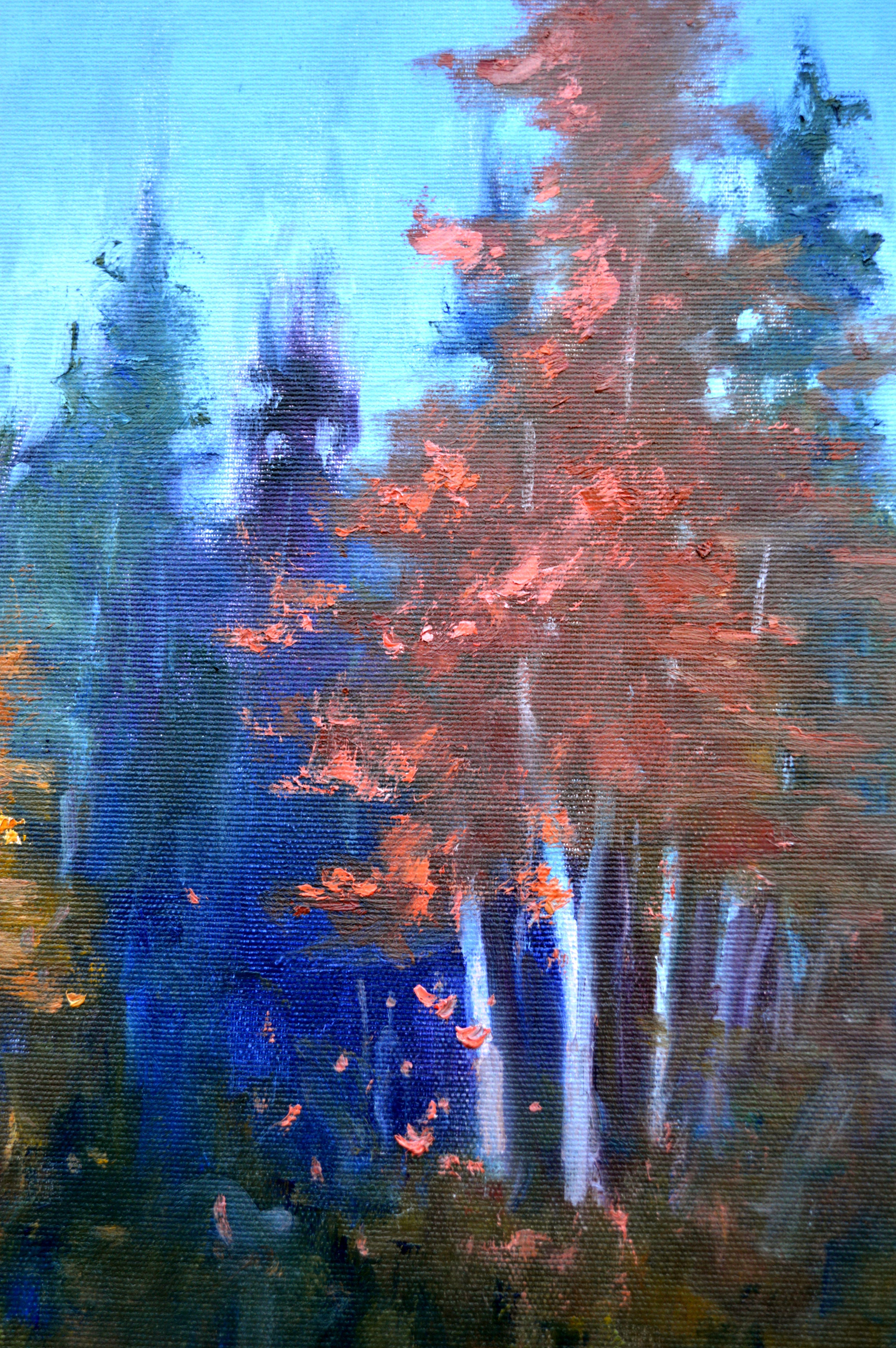 A la lisière de la forêt en vente 8