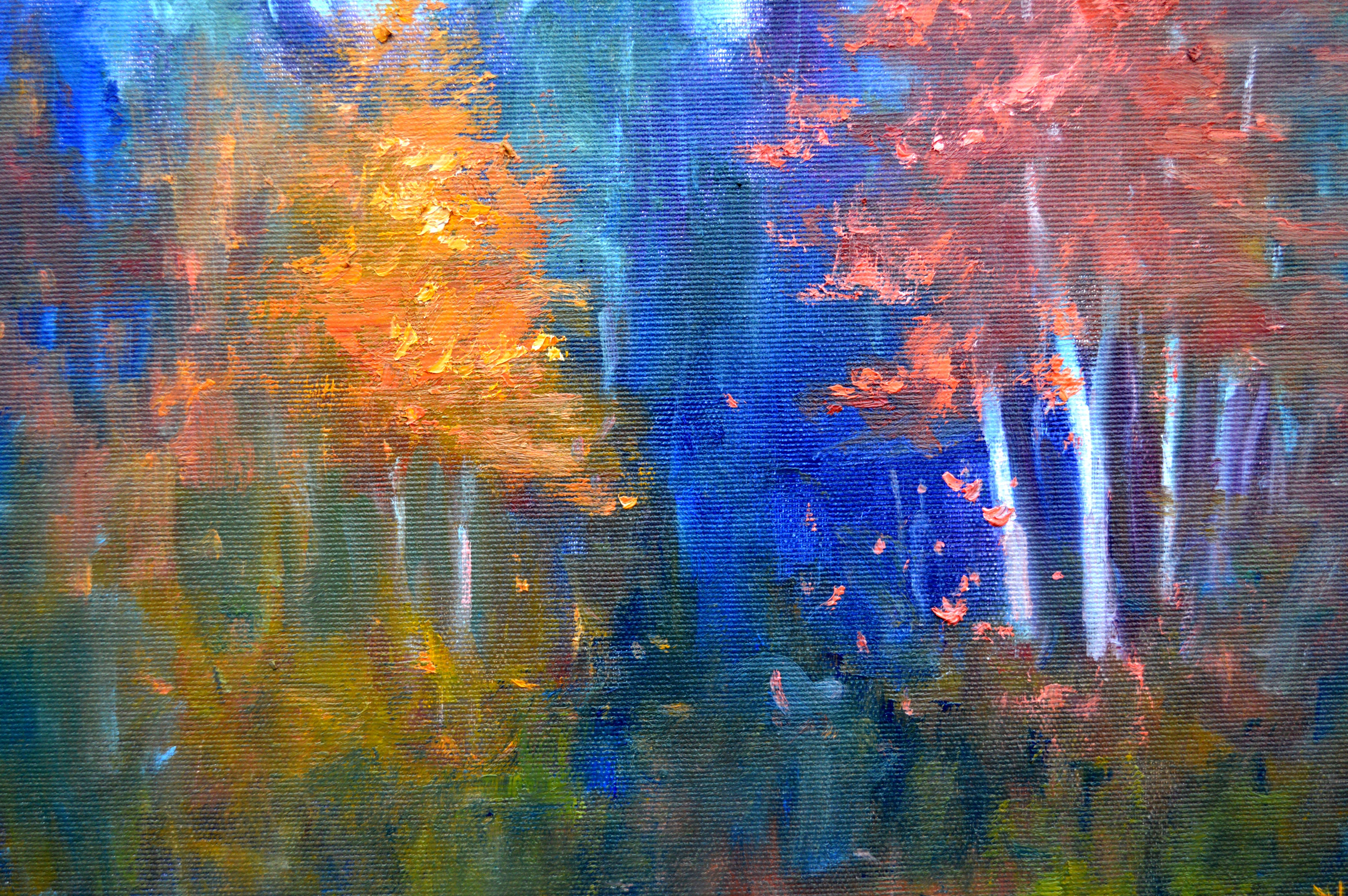 A la lisière de la forêt en vente 12