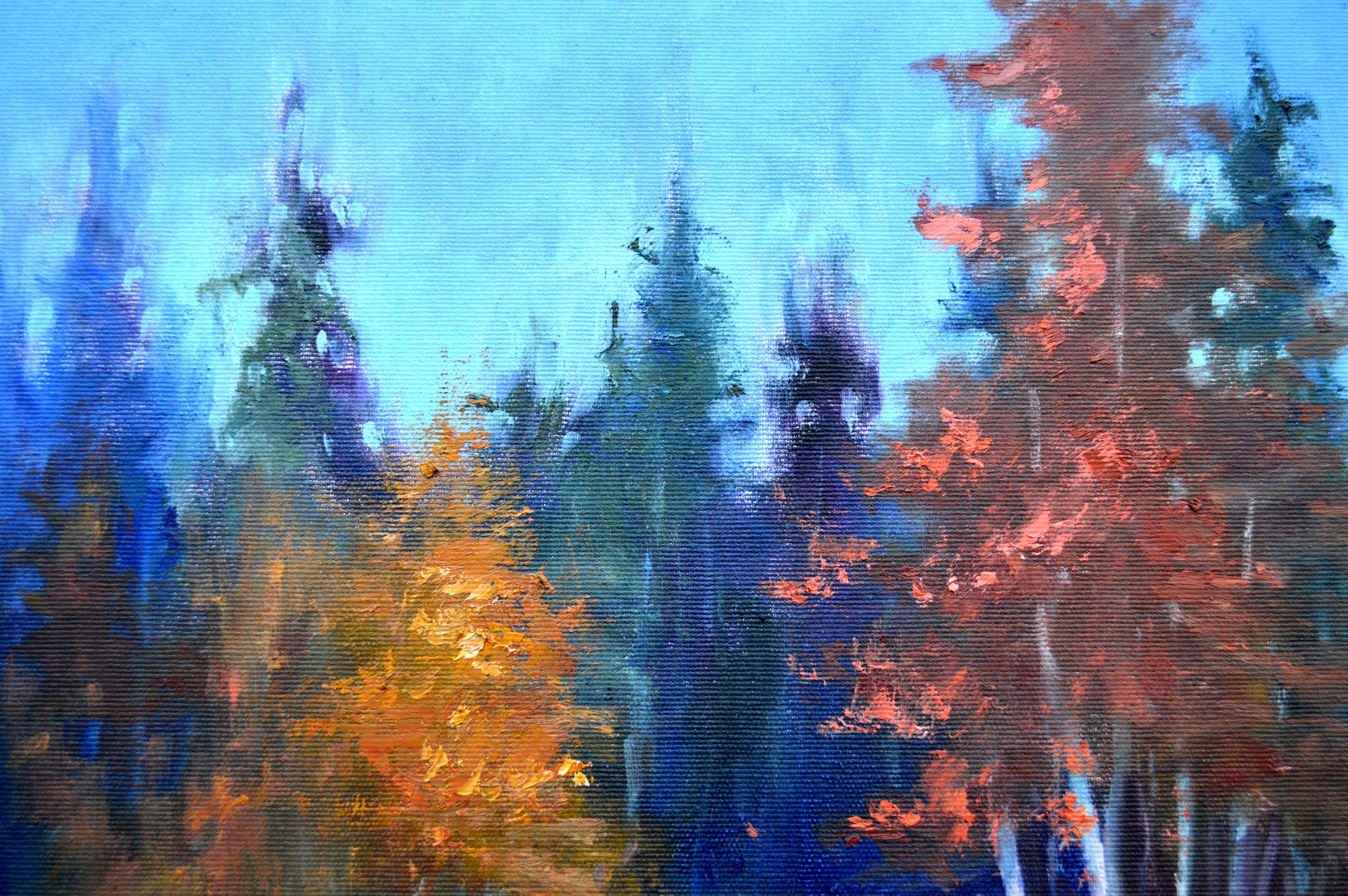 A la lisière de la forêt en vente 13