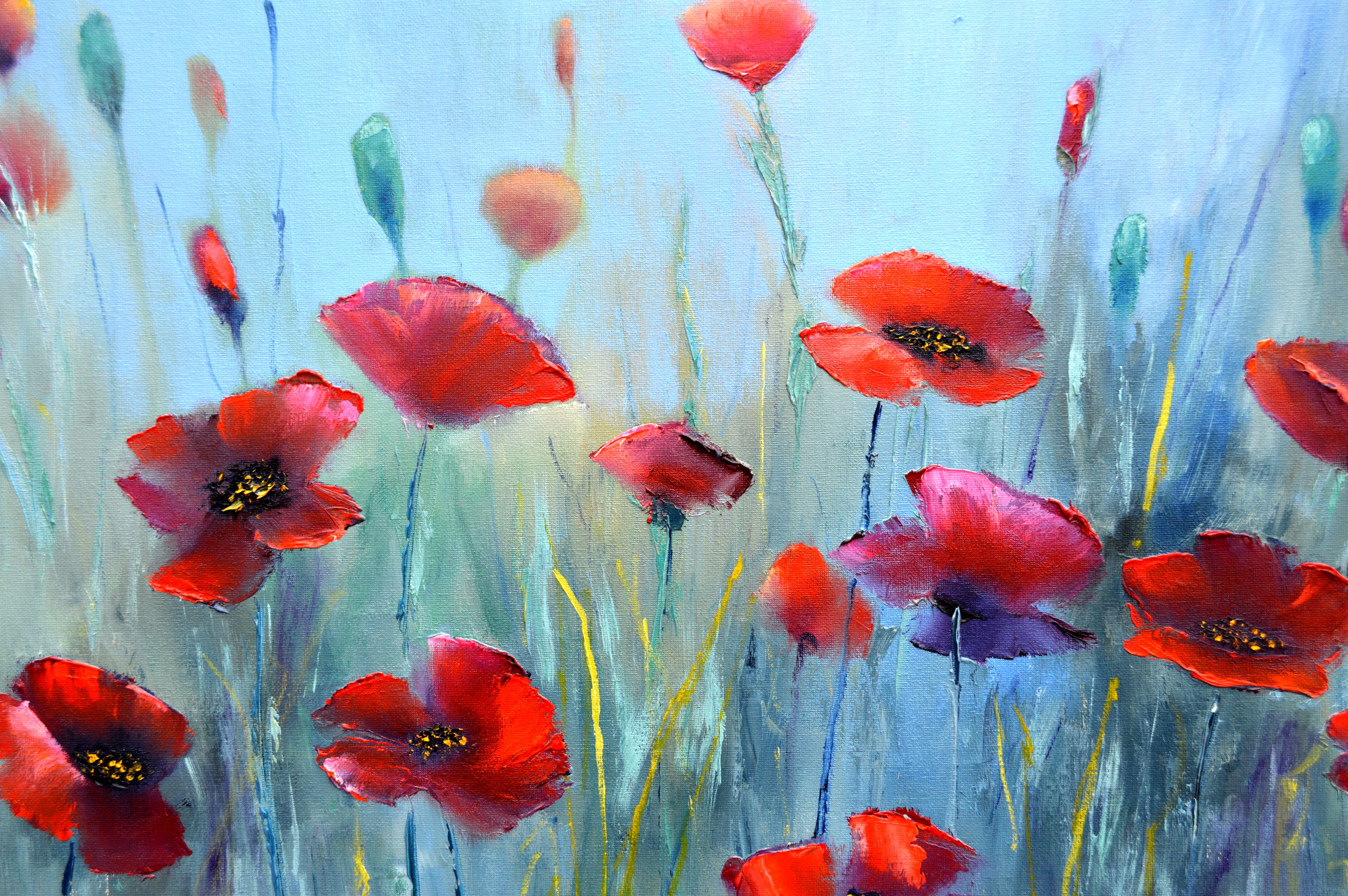 Amapolas fantasía 50X70 2