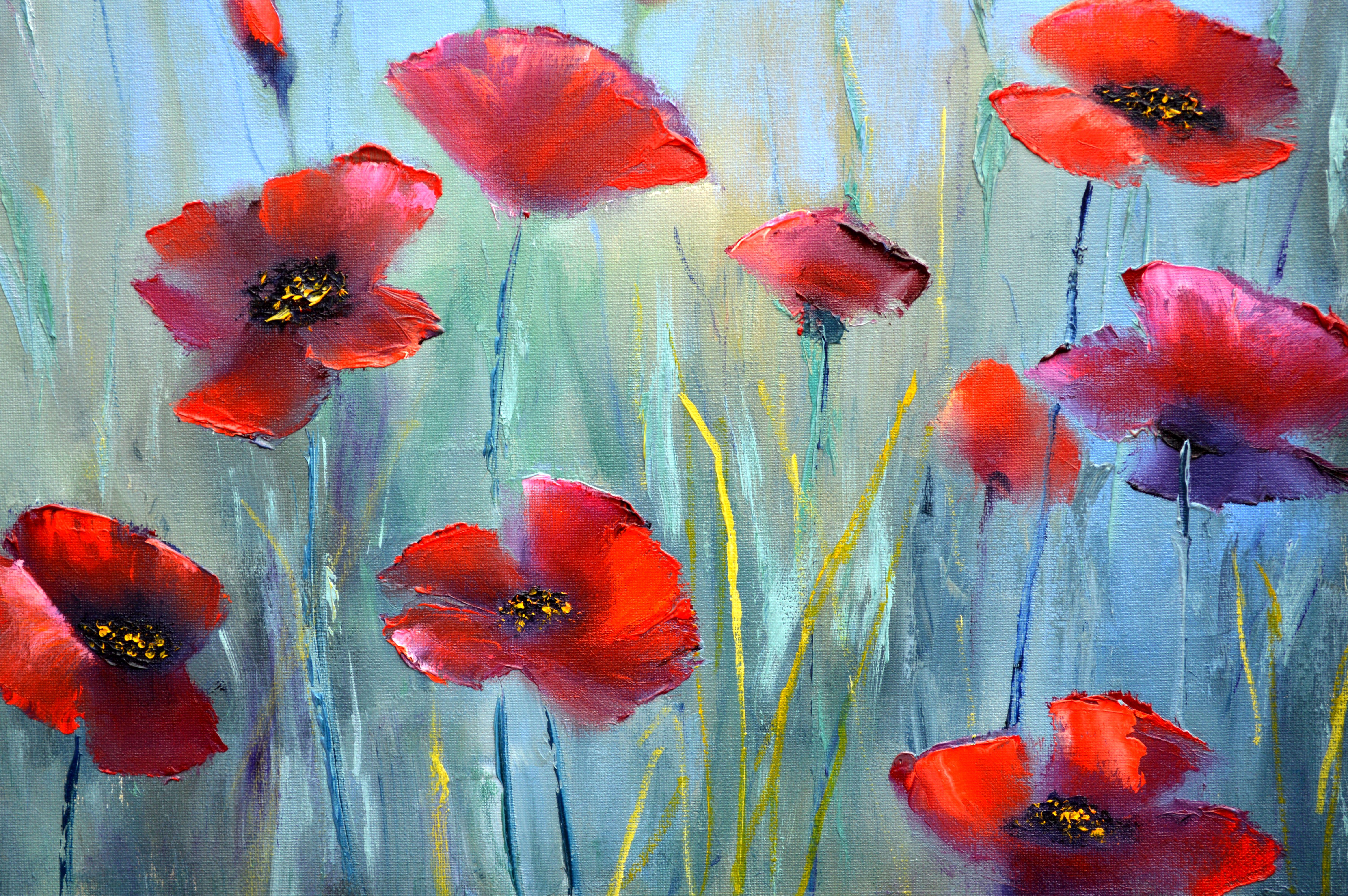Amapolas fantasía 50X70 4