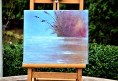 Roseaux et étang transparent